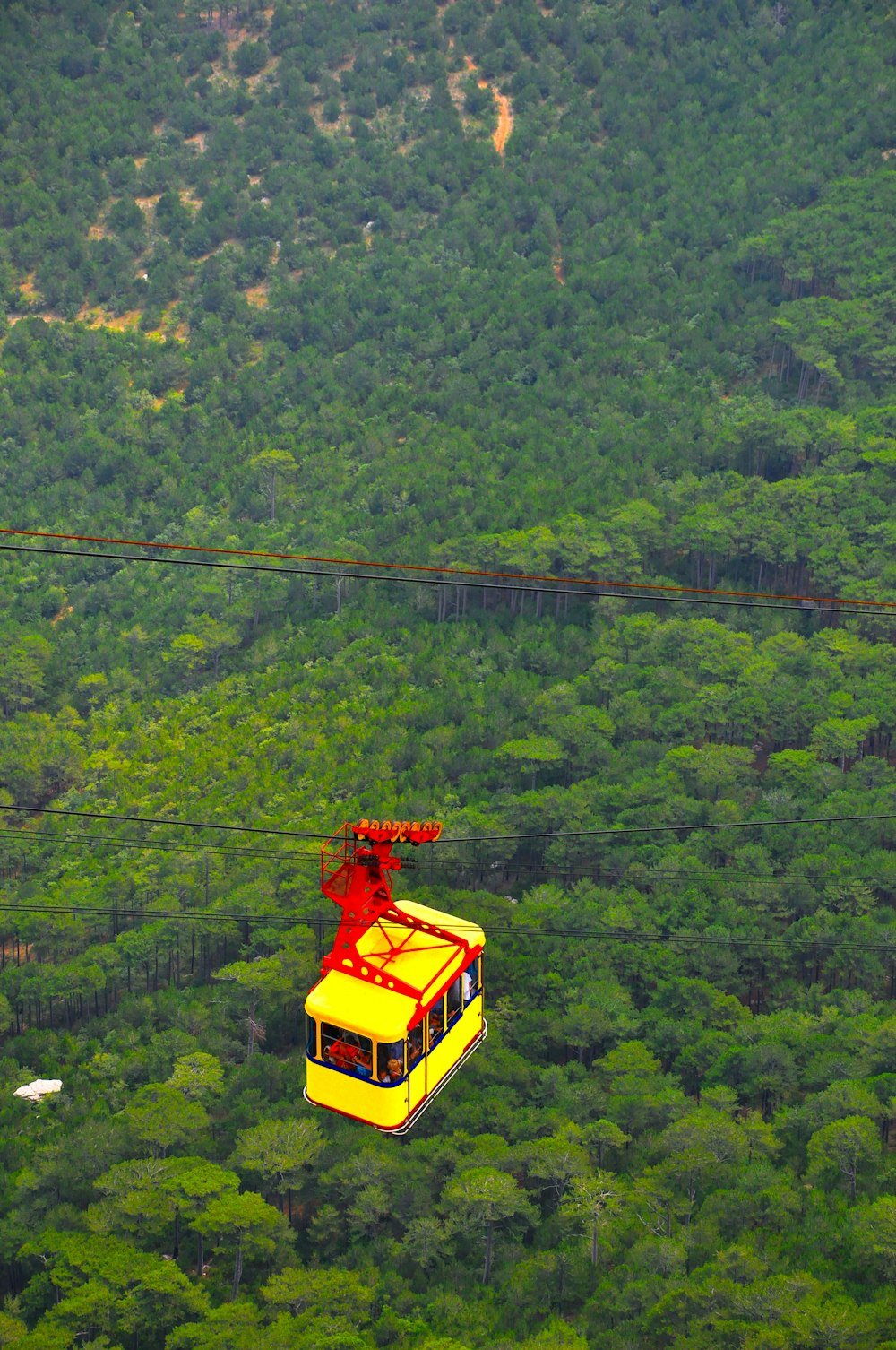 Teleférico amarillo sobre árboles verdes durante el día