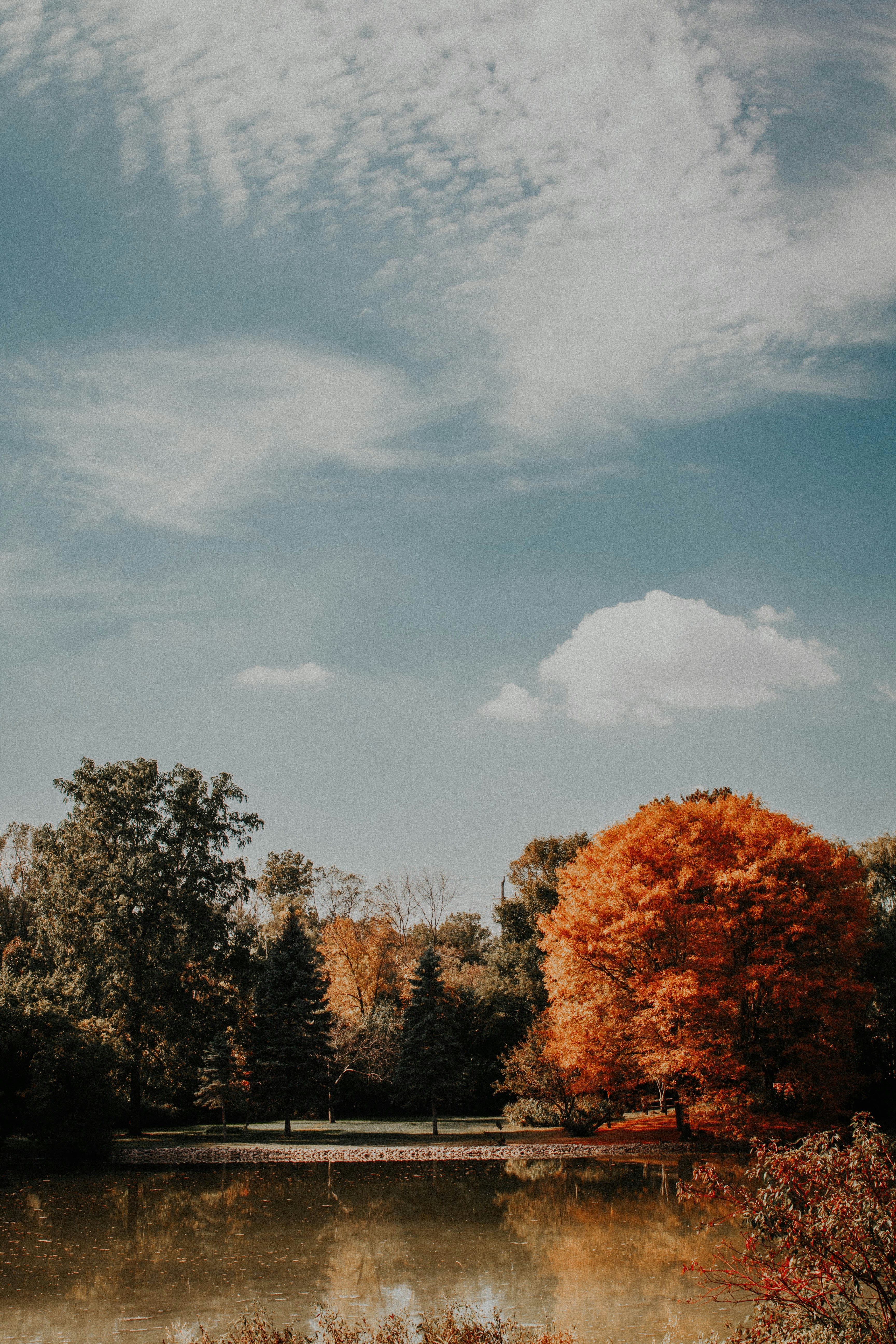 Photo by corinnekutz