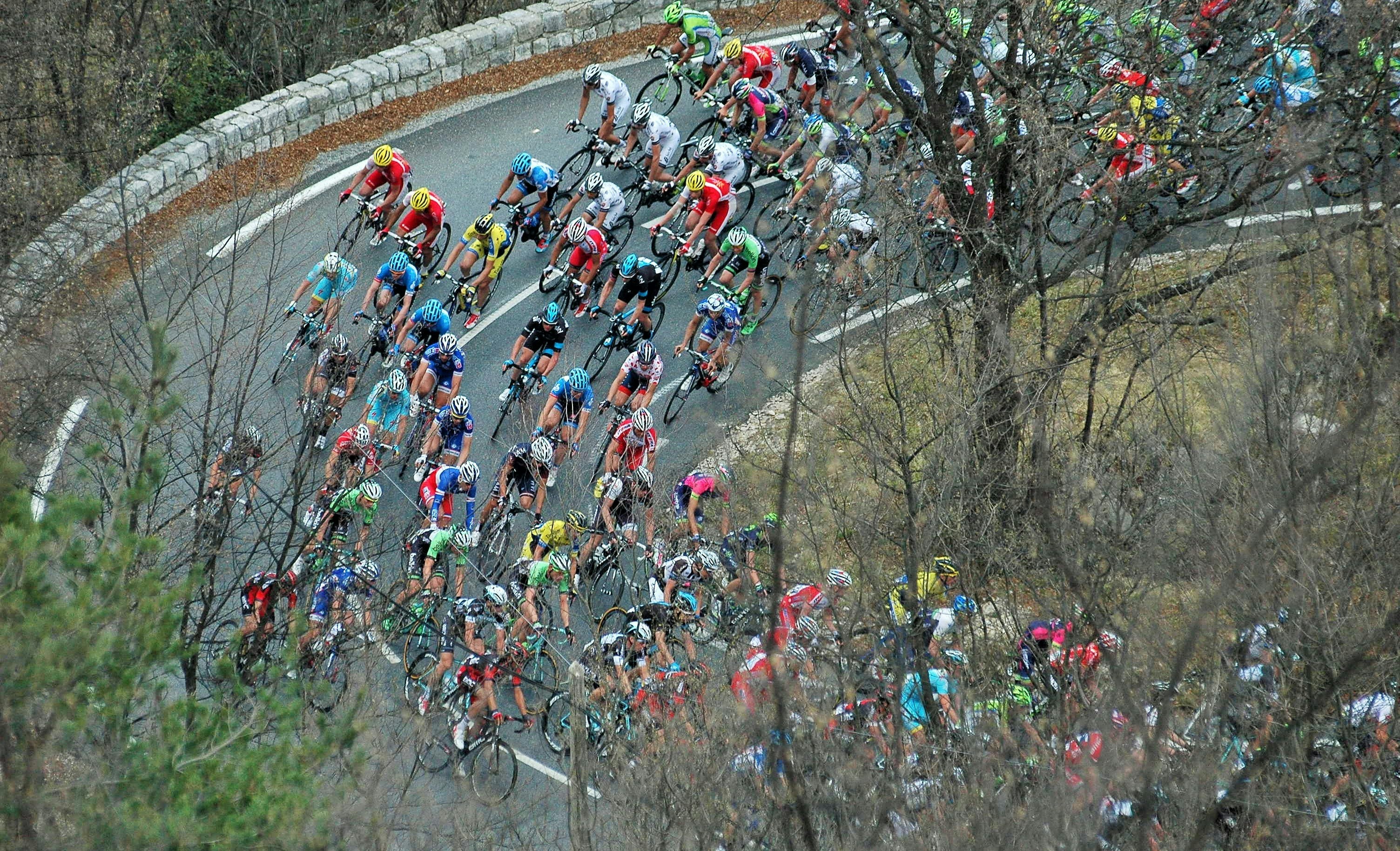people riding on bicycle on road during daytime