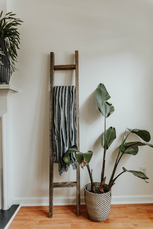 A rustic wooden blanket ladder leaning against a cozy living room wall with soft throws draped over its rungs.