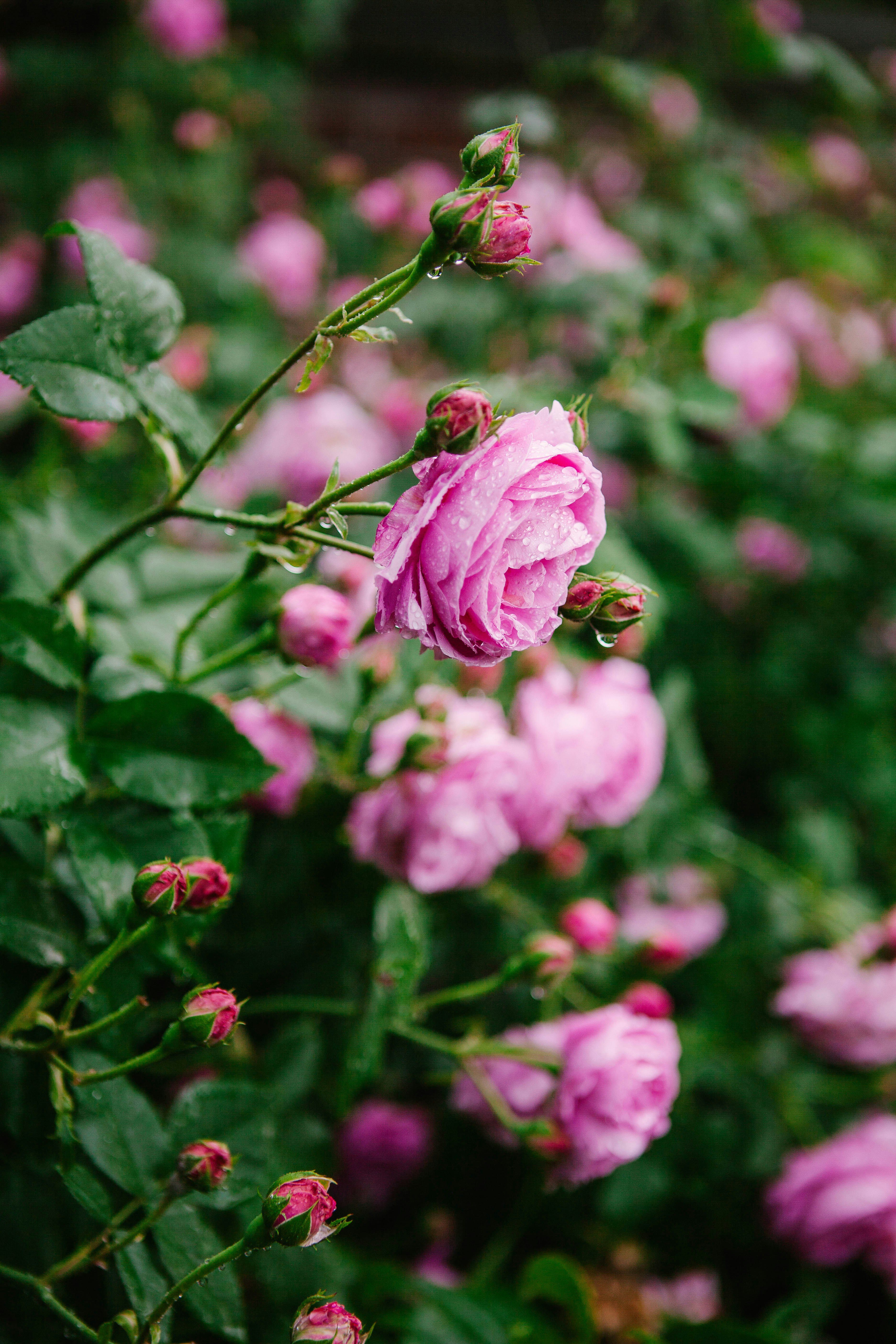 Photo by corinnekutz