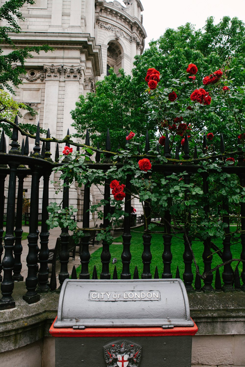 red flowers on black metal fence