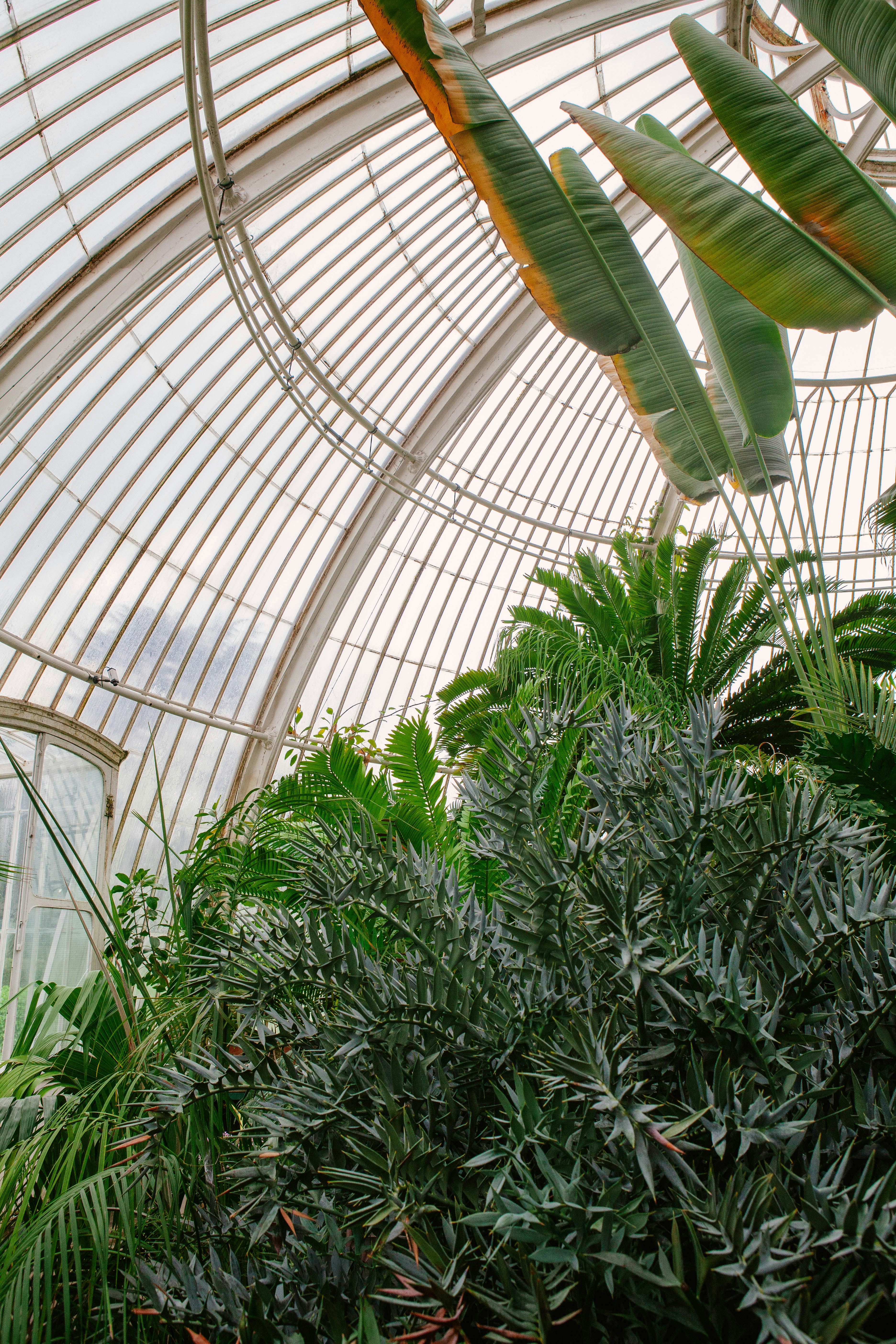 Understanding Musical Form: Why Structure Creates Freedom for Composers