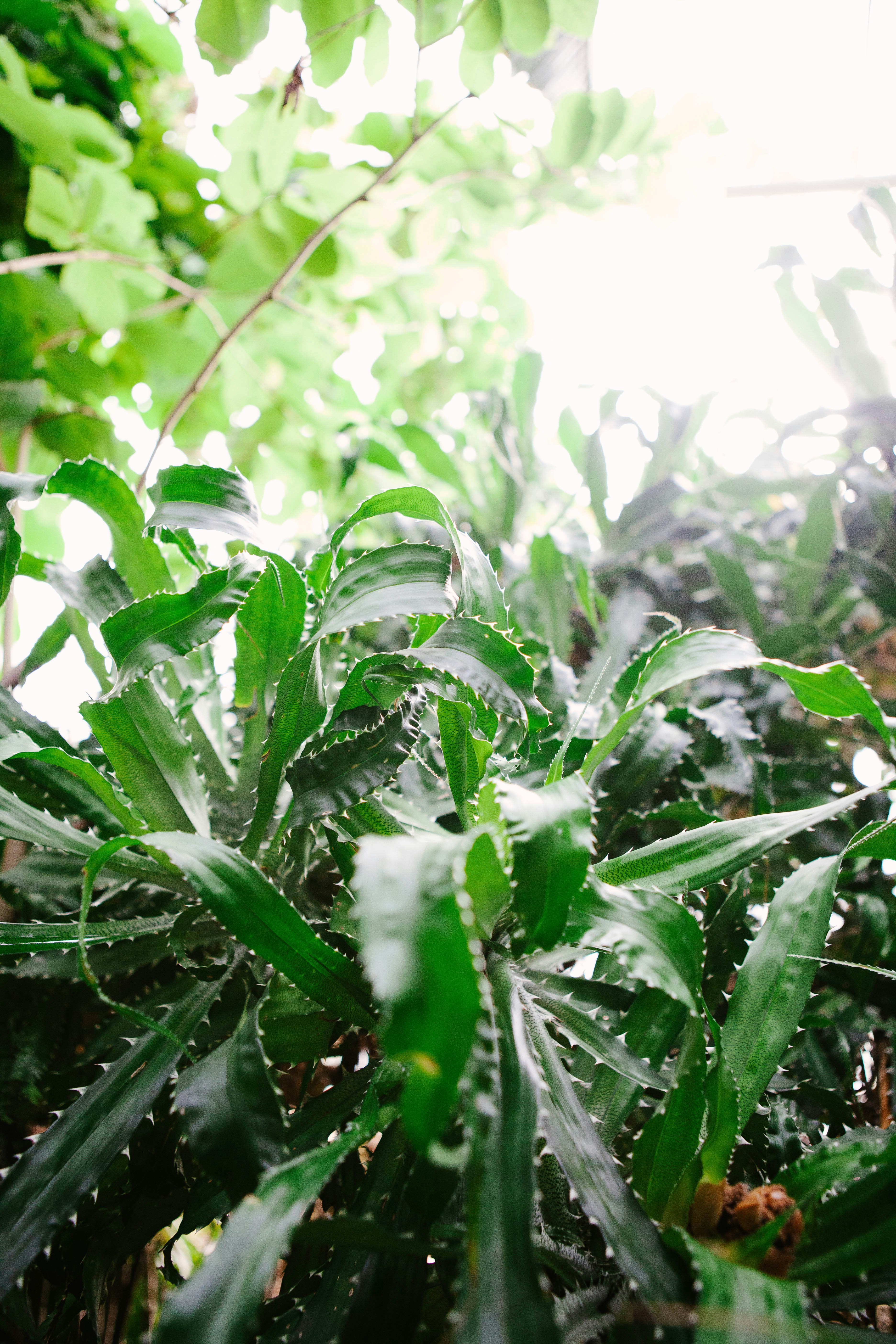 Photo by corinnekutz