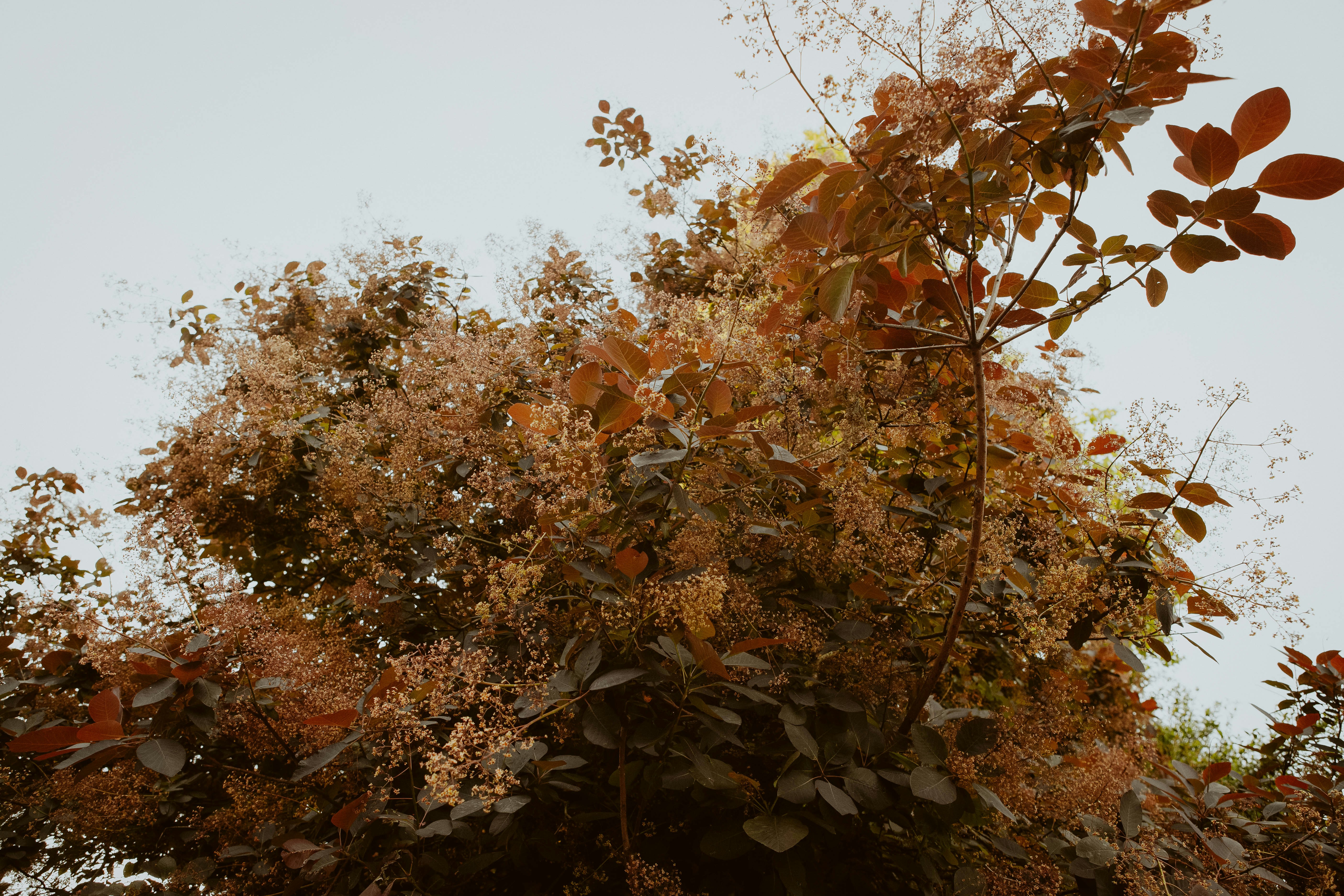 Photo by corinnekutz