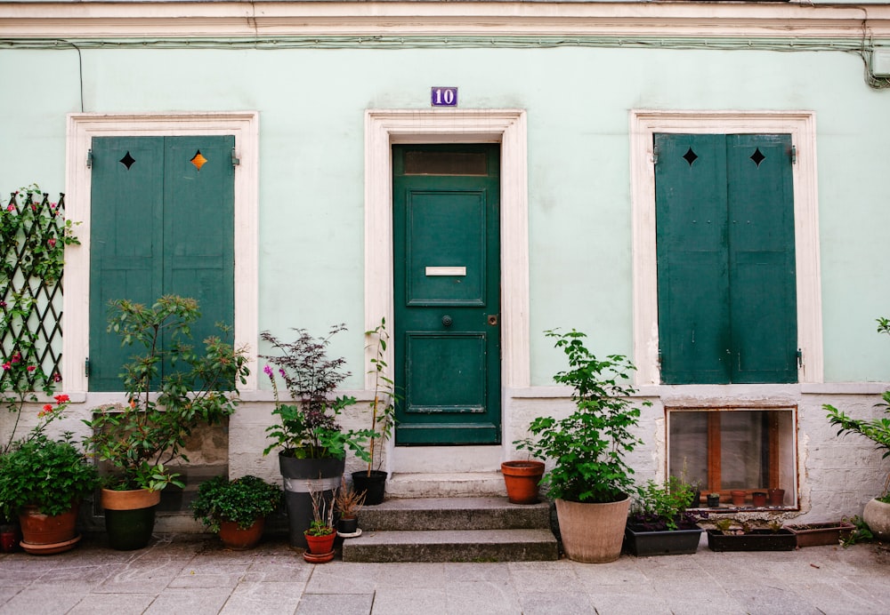 green wooden door beside brown potted plants