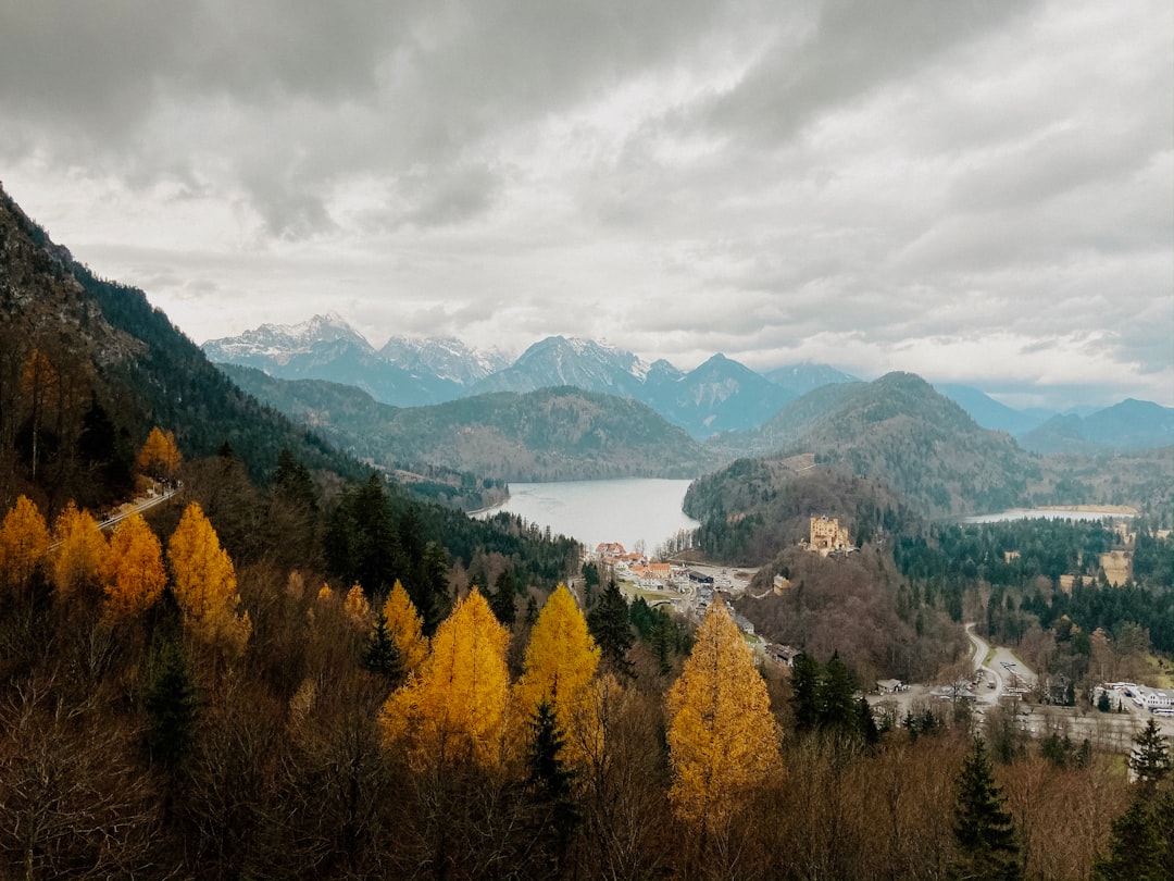 yellow and green trees near body of water under white clouds during daytime