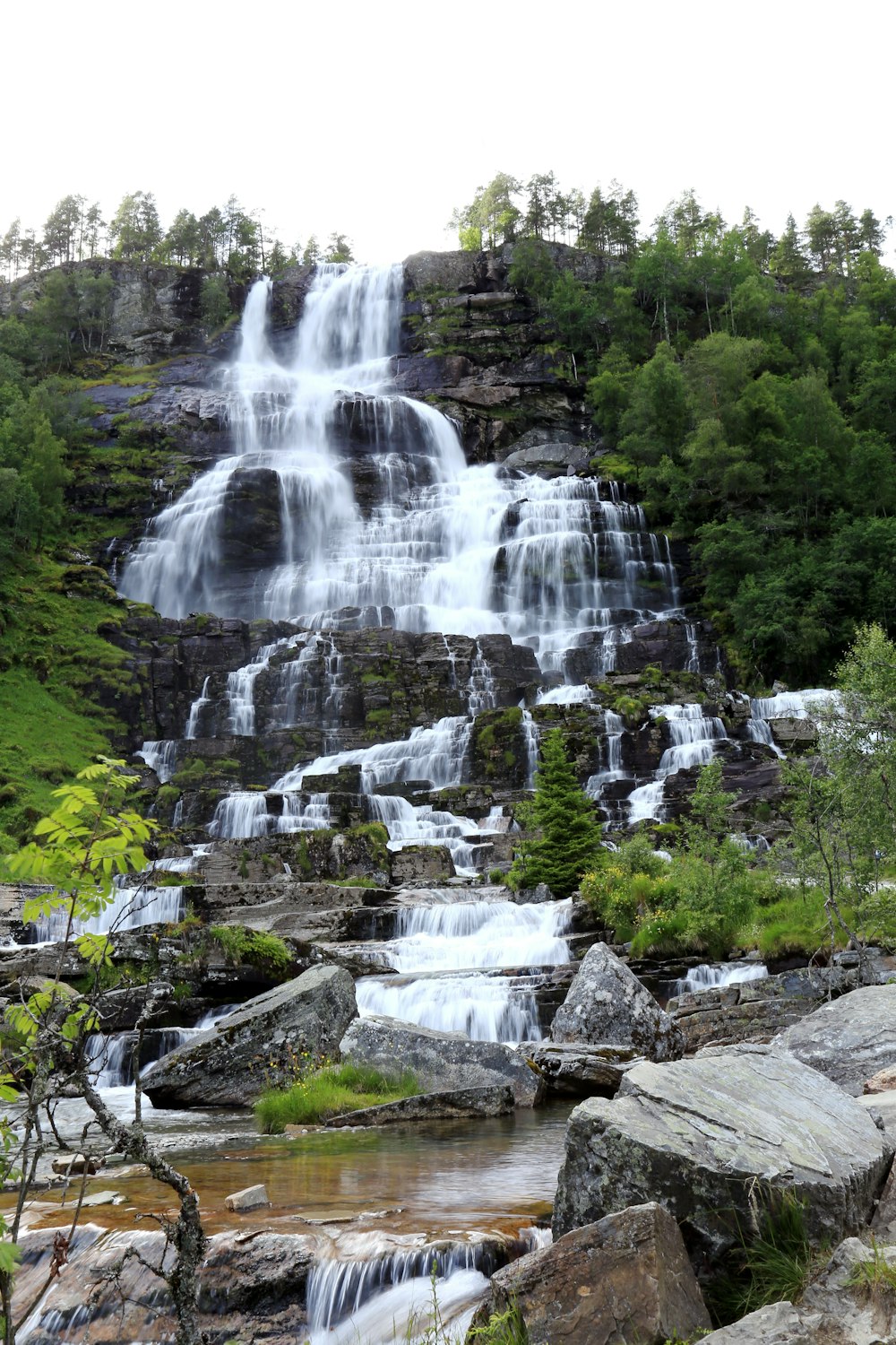 waterfalls in the middle of forest during daytime