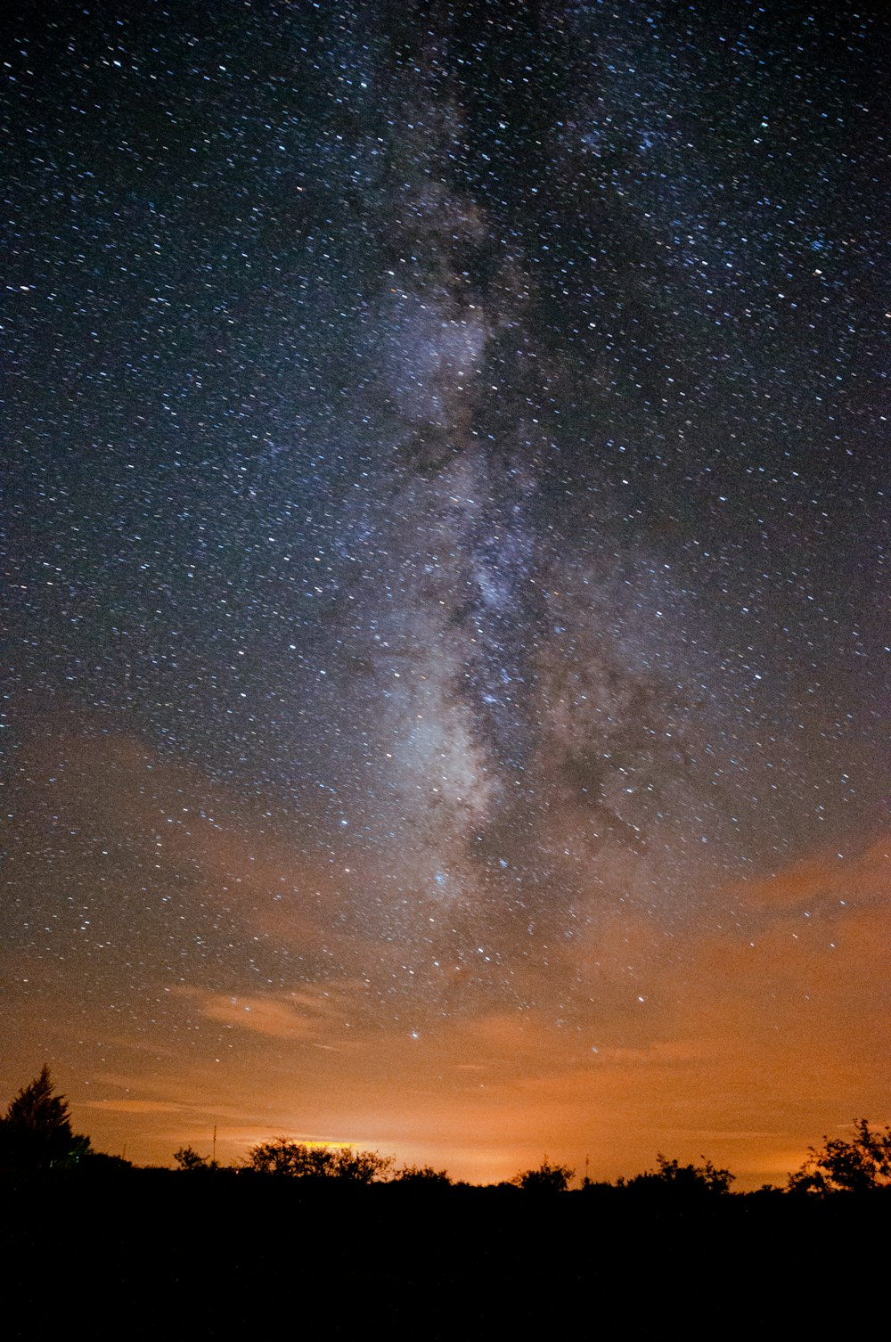 silhouette of trees under starry night