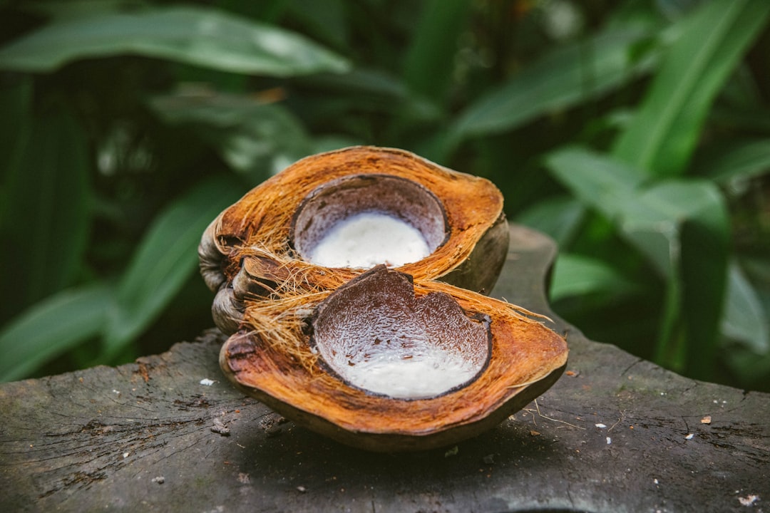 St Lucia's Gros Islet 7 Local Markets and Cultural Experiences That… — St Lucia's Gros Islet 7 Local