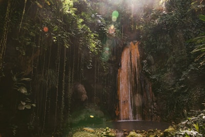 Sunlight filtering through dense jungle leaves onto a roaring cascade.