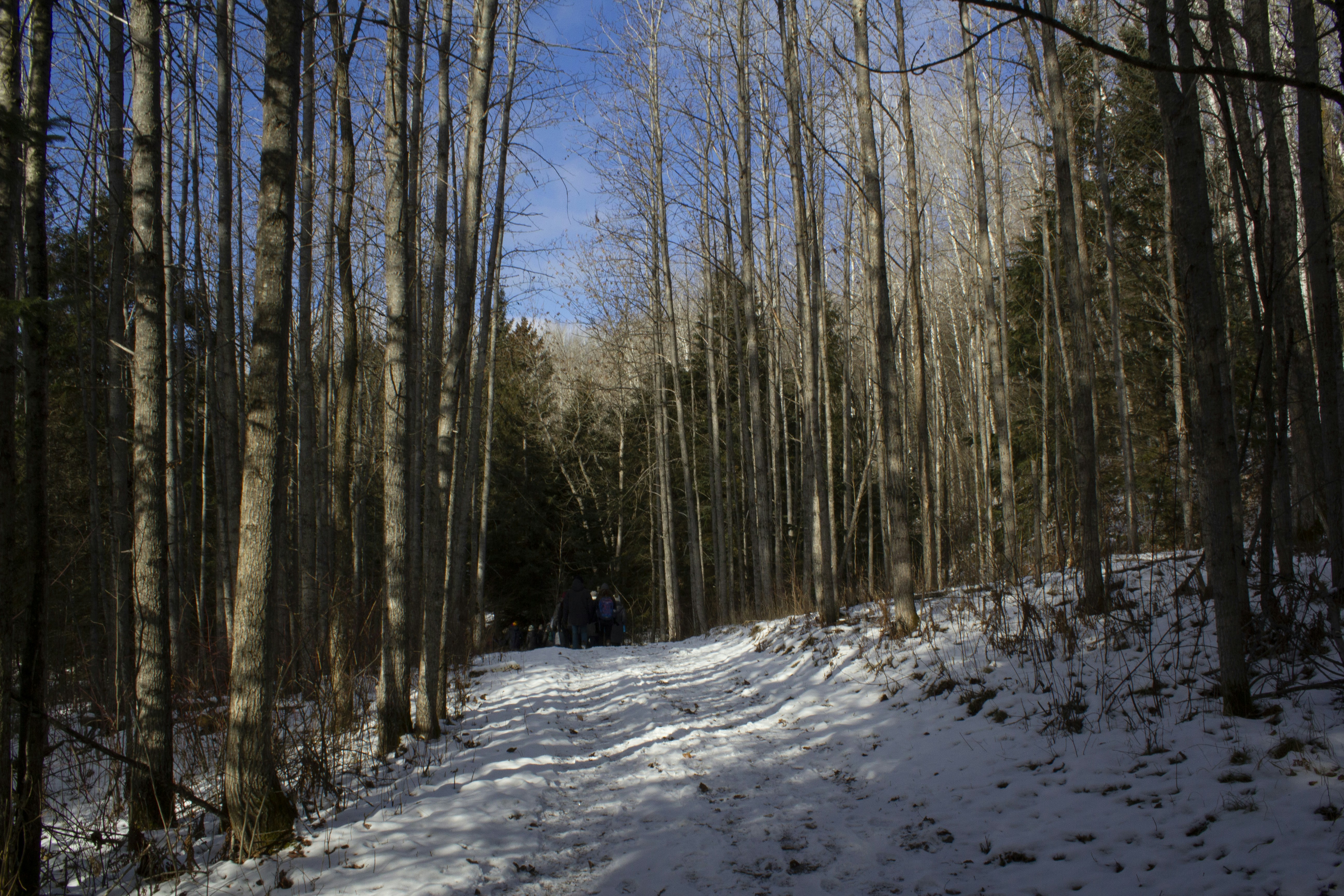 Photo by carsonkaskel