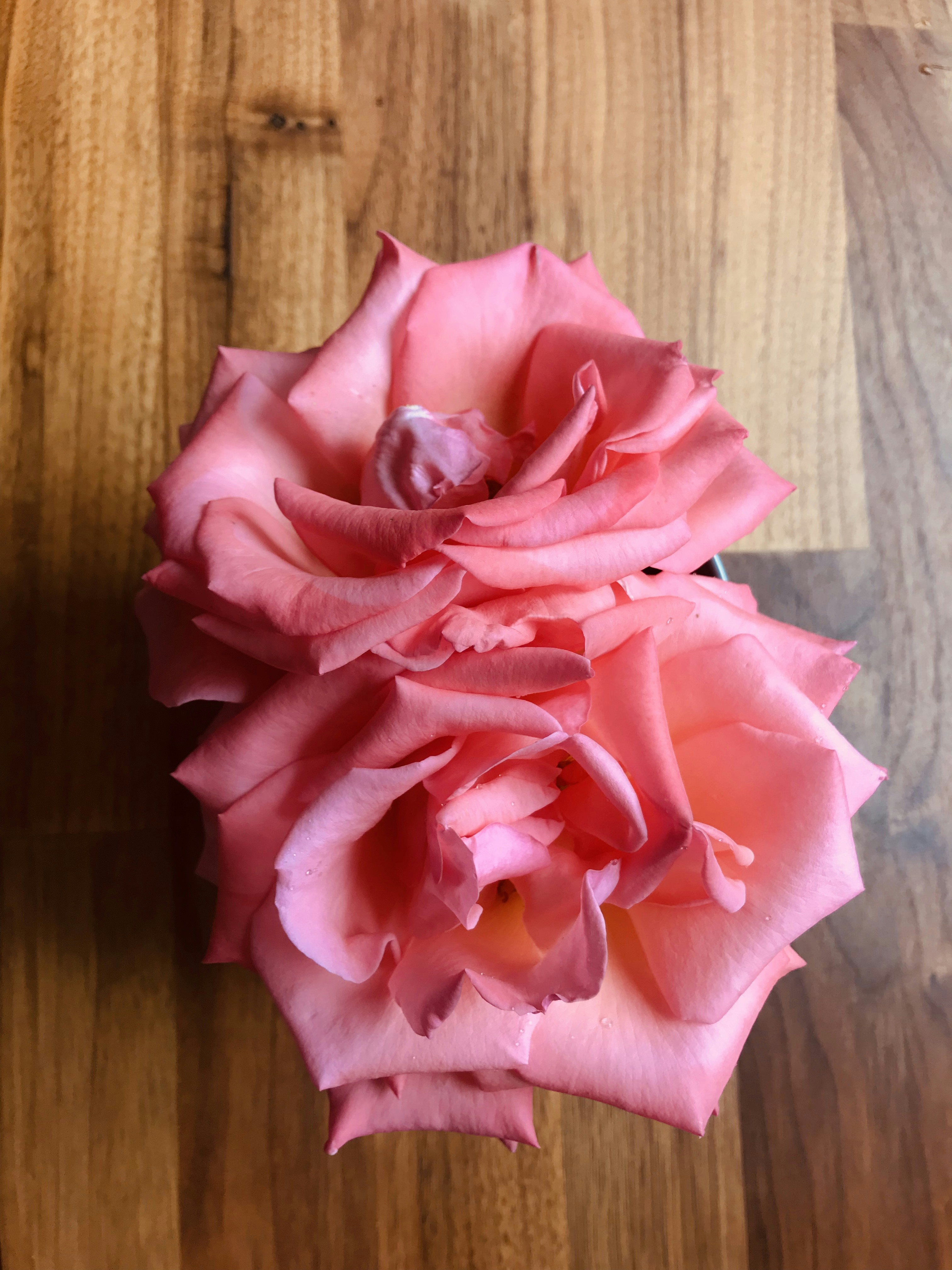 Handcrafted Ceramic Rose