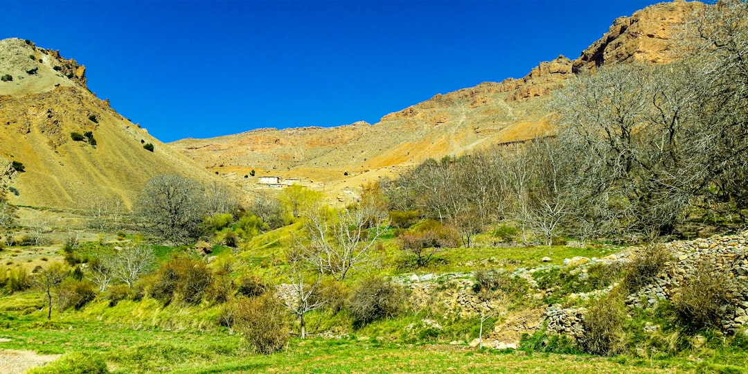 Nature reserve photo spot Ouarzazate Province Morocco