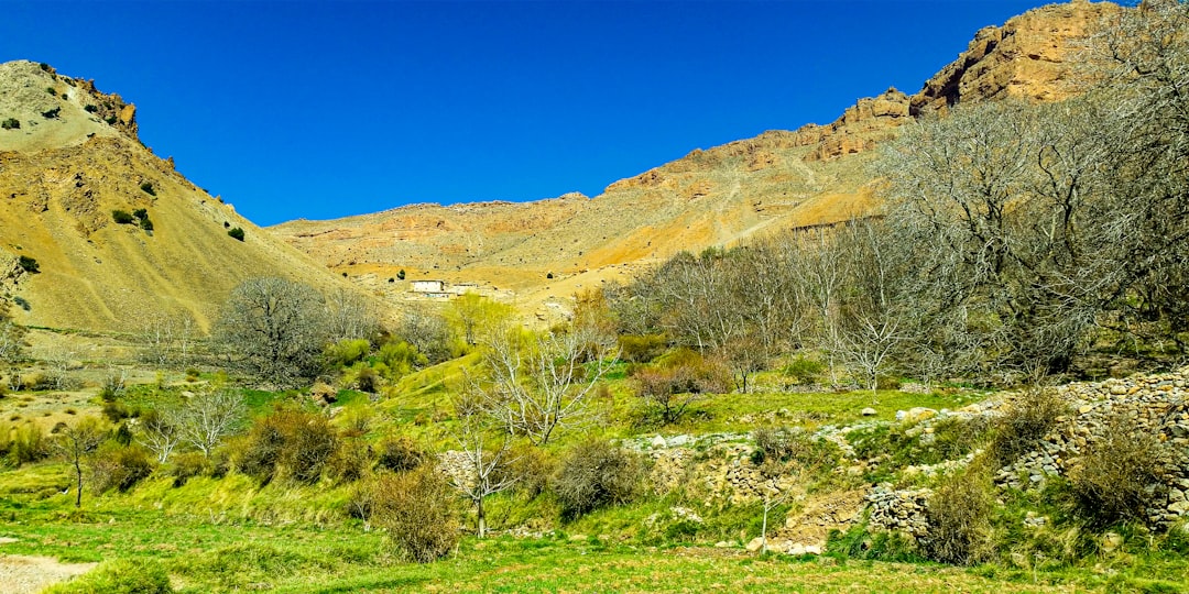 photo of Ouarzazate Province Nature reserve near Tizi n'Tichka