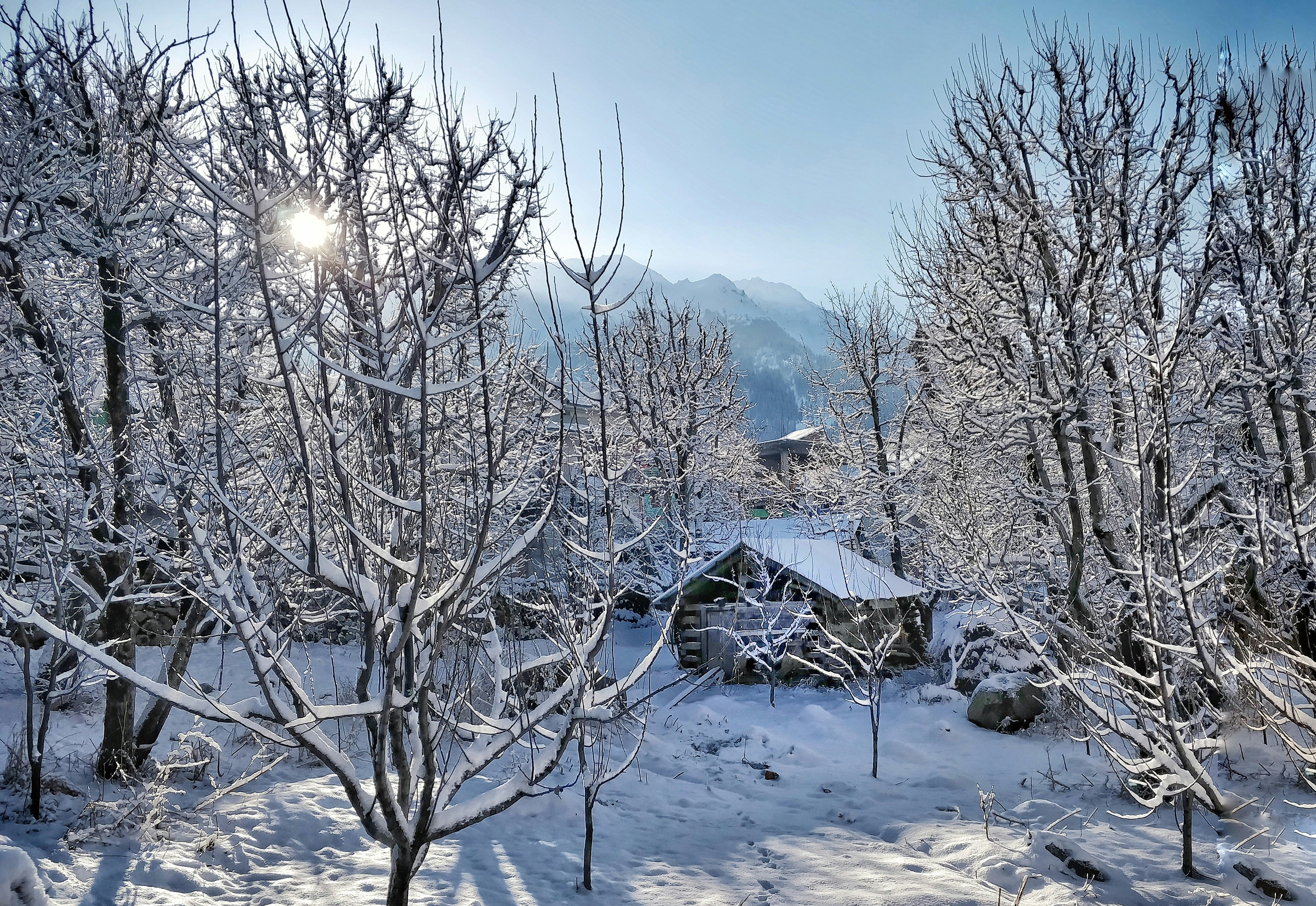 Photo by anooba_beast