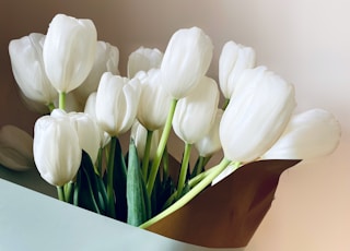 white tulips in brown vase