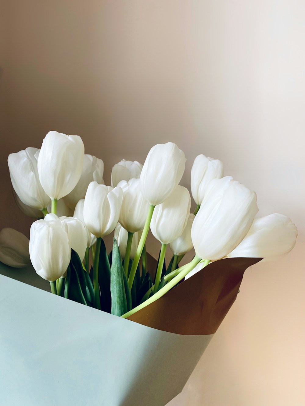 white tulips in brown vase