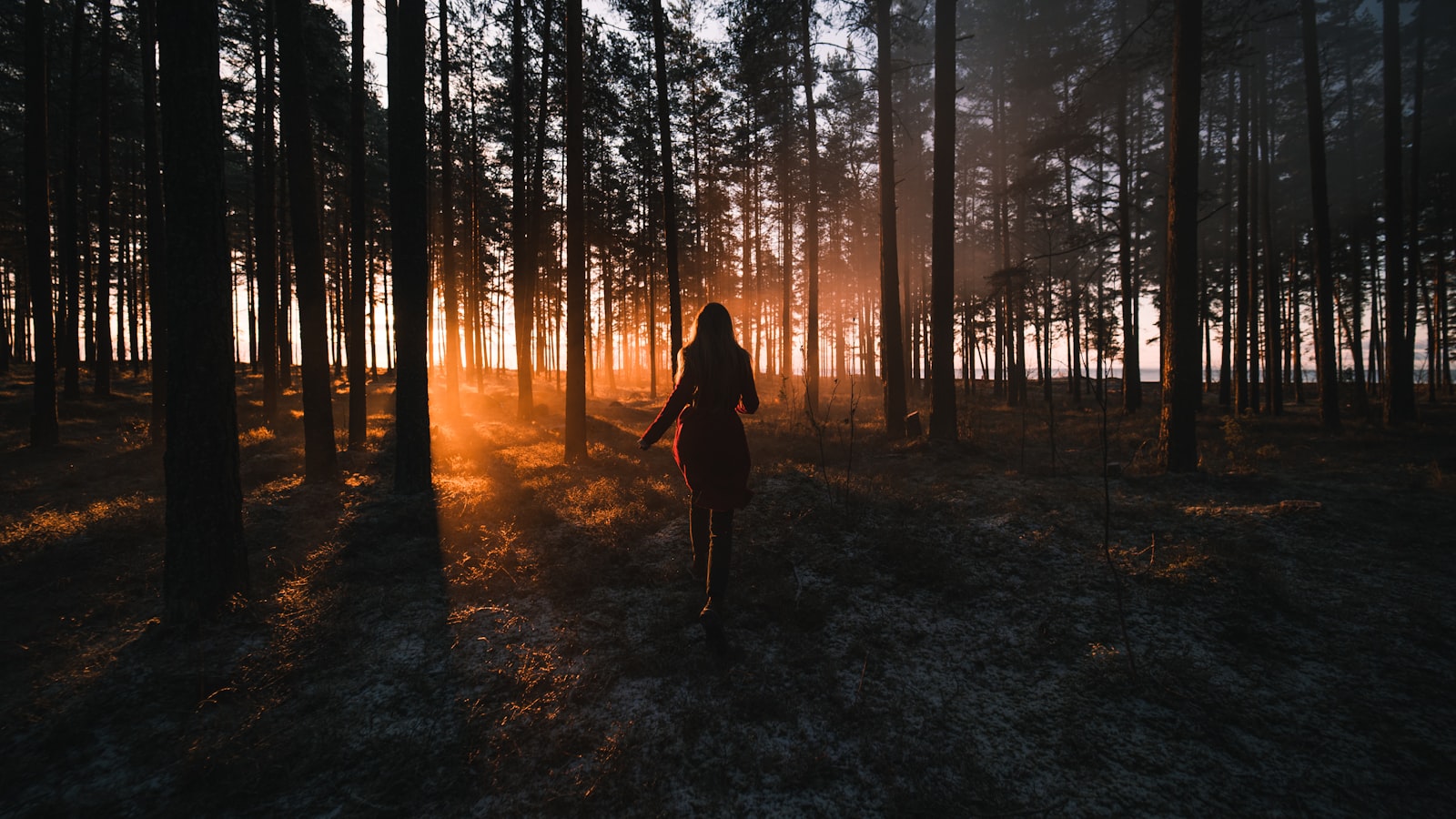 Sony a7 III + Samyang AF 14mm F2.8 FE sample photo. Woman in black dress photography