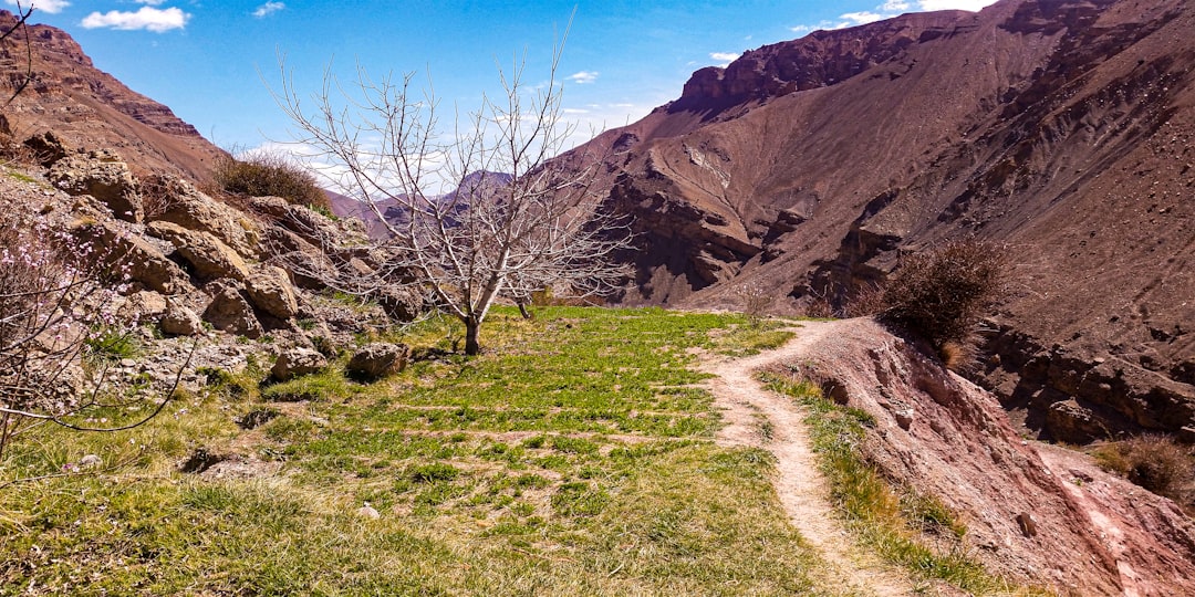 Nature reserve photo spot Ouarzazate Ouarzazate