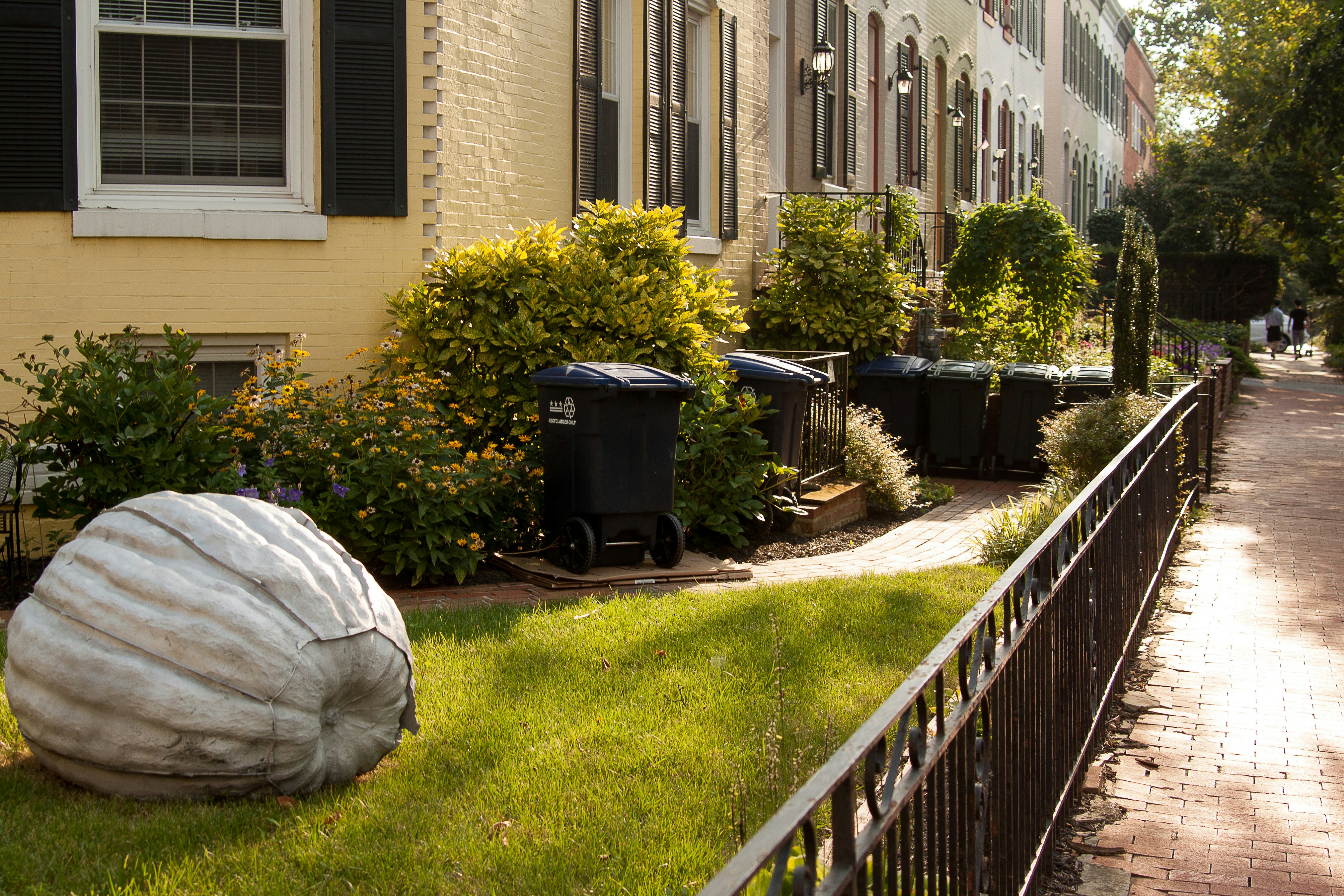 Summer Street in Washington DC