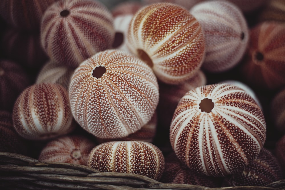 pink and white round decors