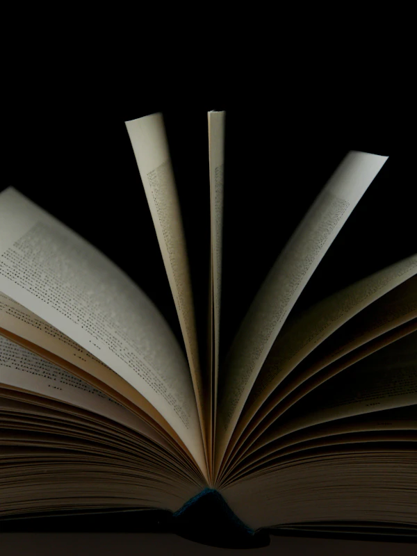 A Brief History of Wonder