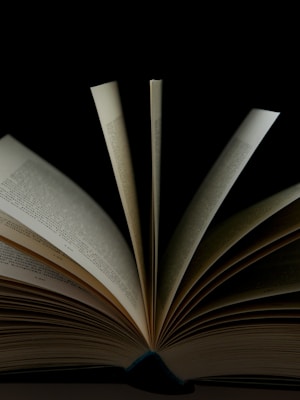 การป้องกันการก่อการร้าย: กรณีศึกษาสากล