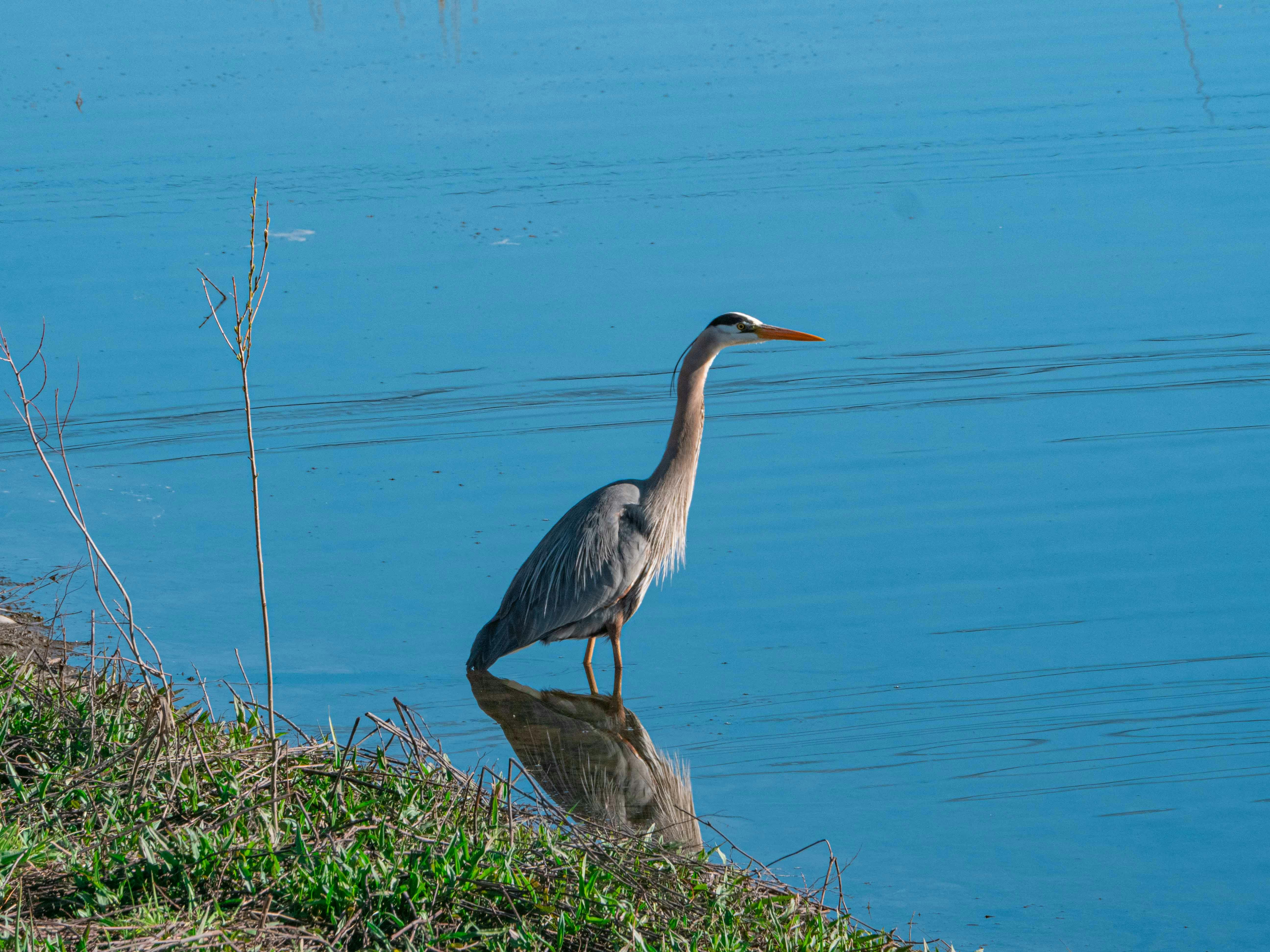 Photo by kieran_wood