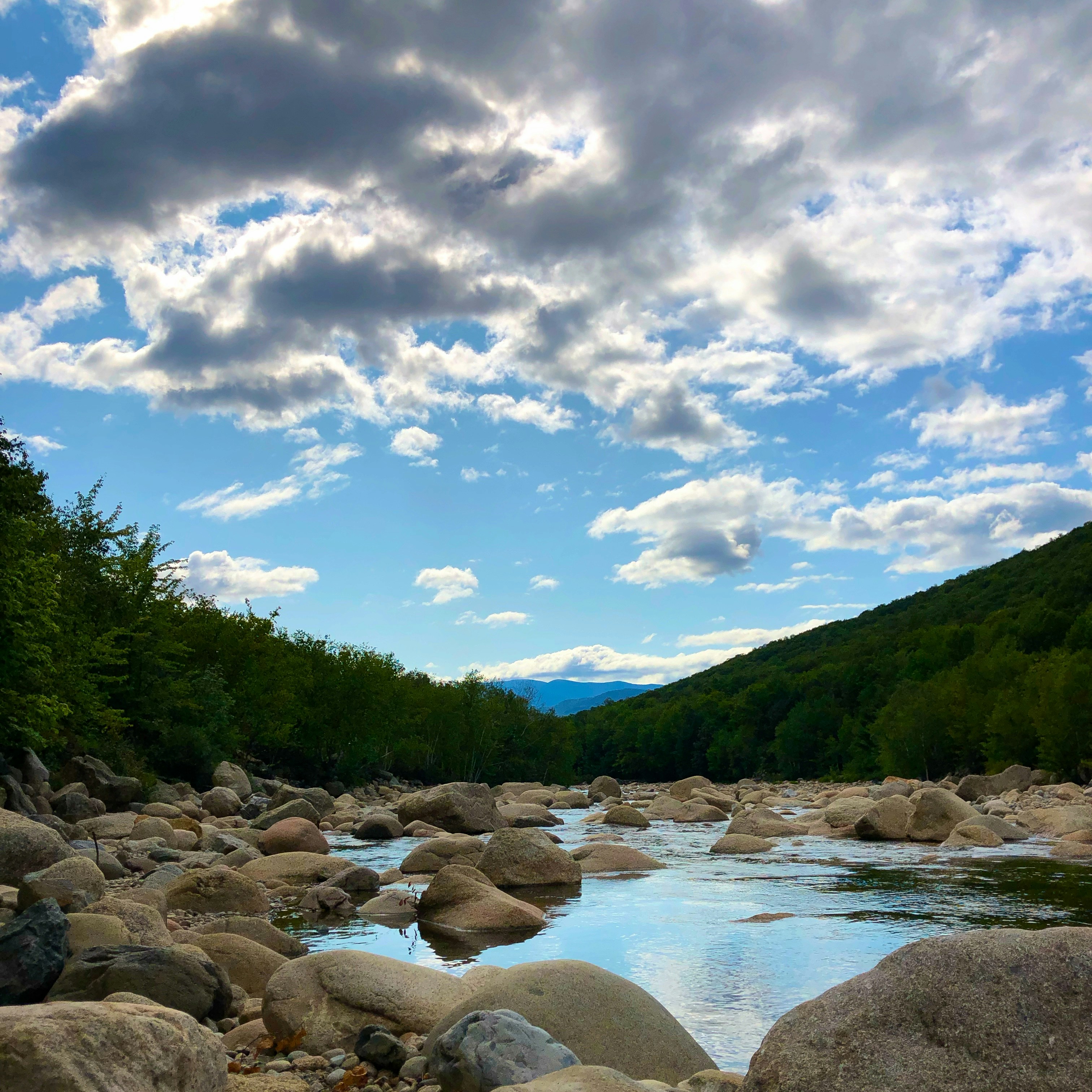green trees near river under blue sky and white clouds during daytime