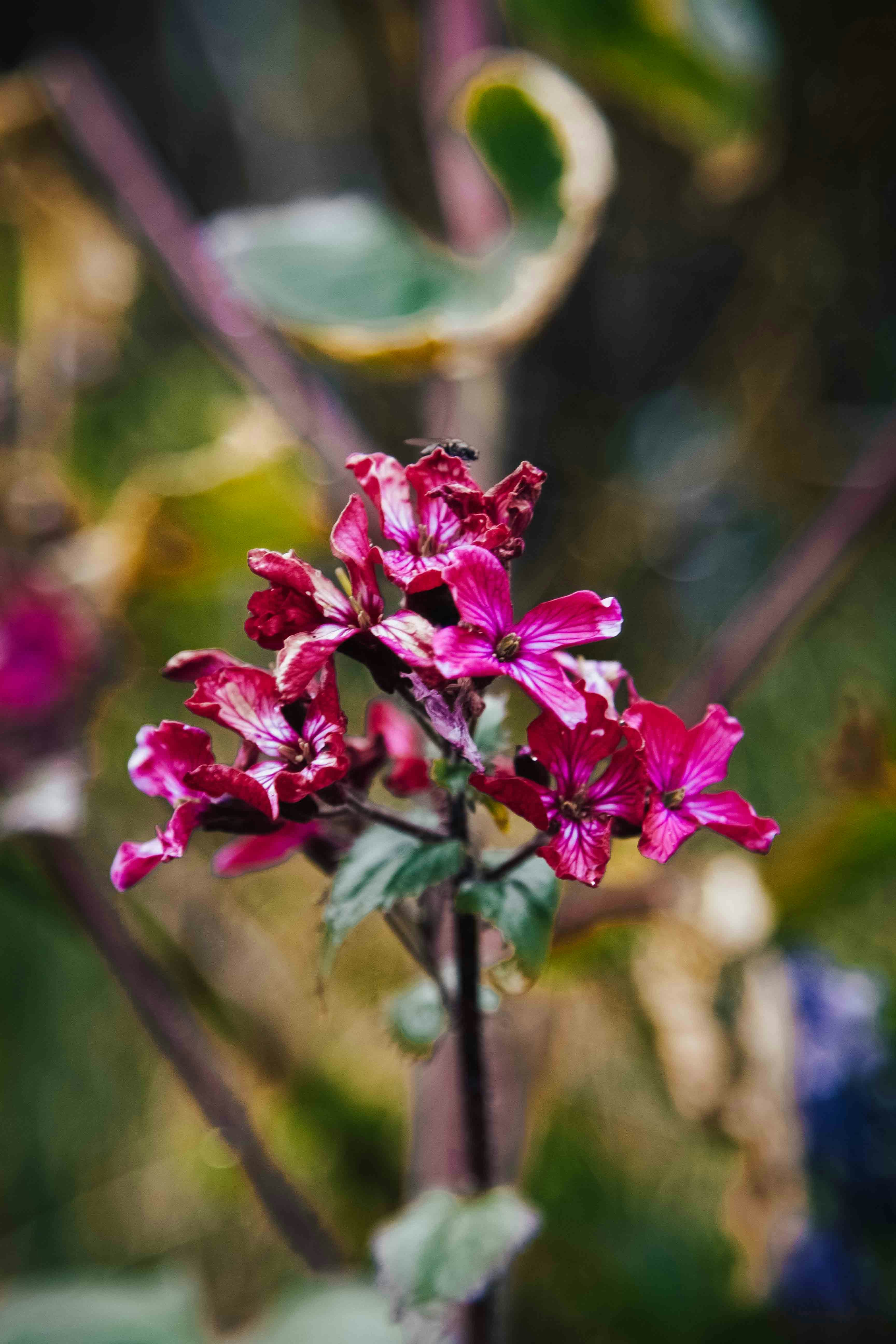 Photo by ingridmartinussen