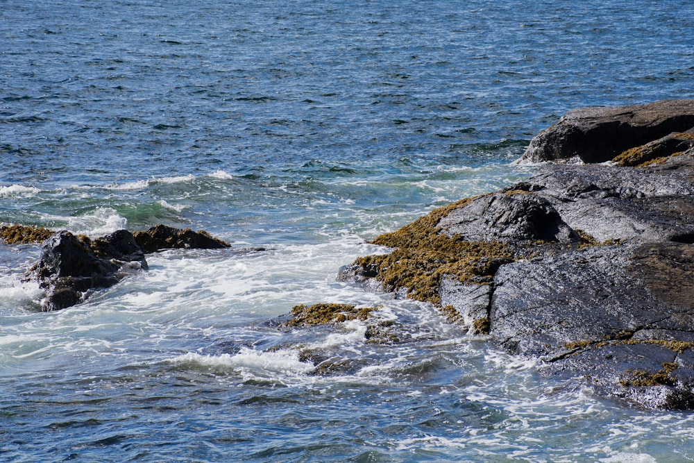 black and brown rock formation beside body of water during daytime