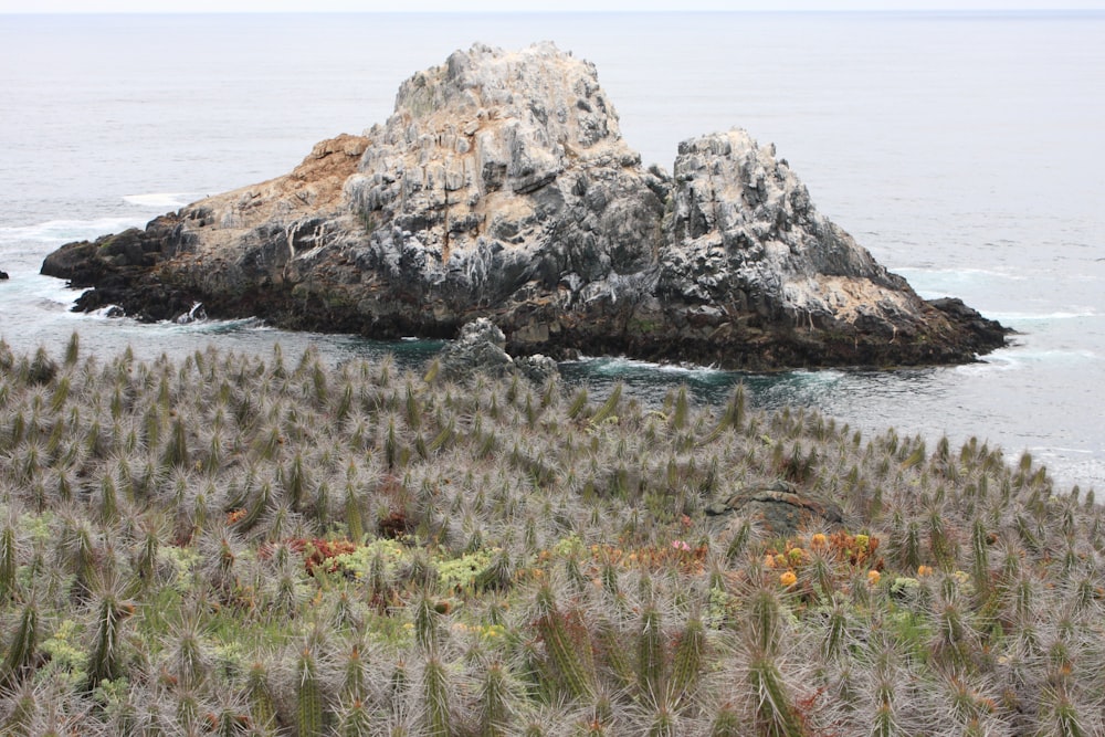 brown rock formation on sea during daytime