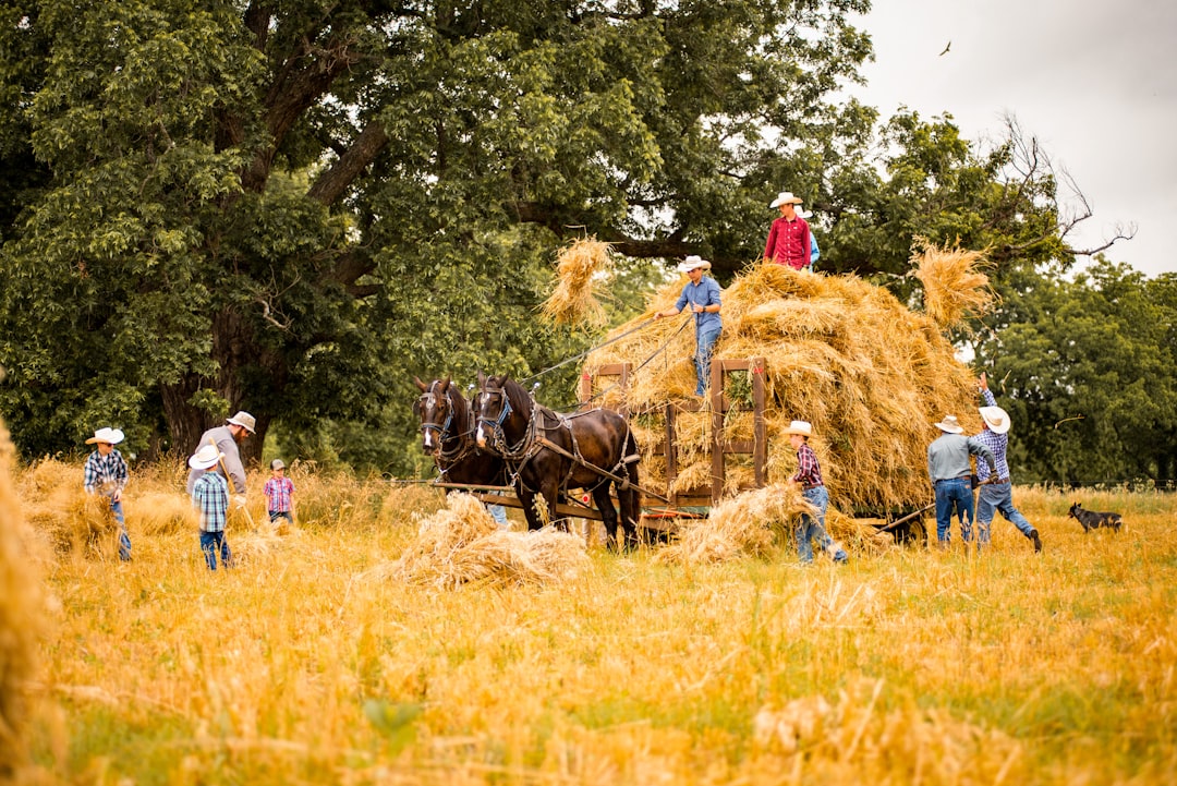 people standing on brown grass field during daytime