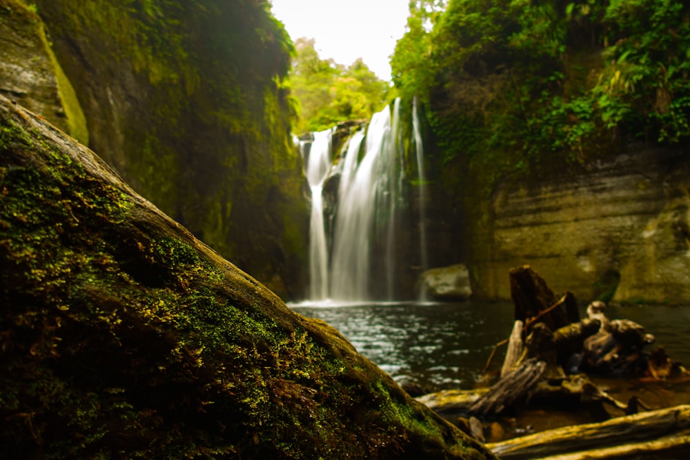 brown tree log near waterfalls during daytime