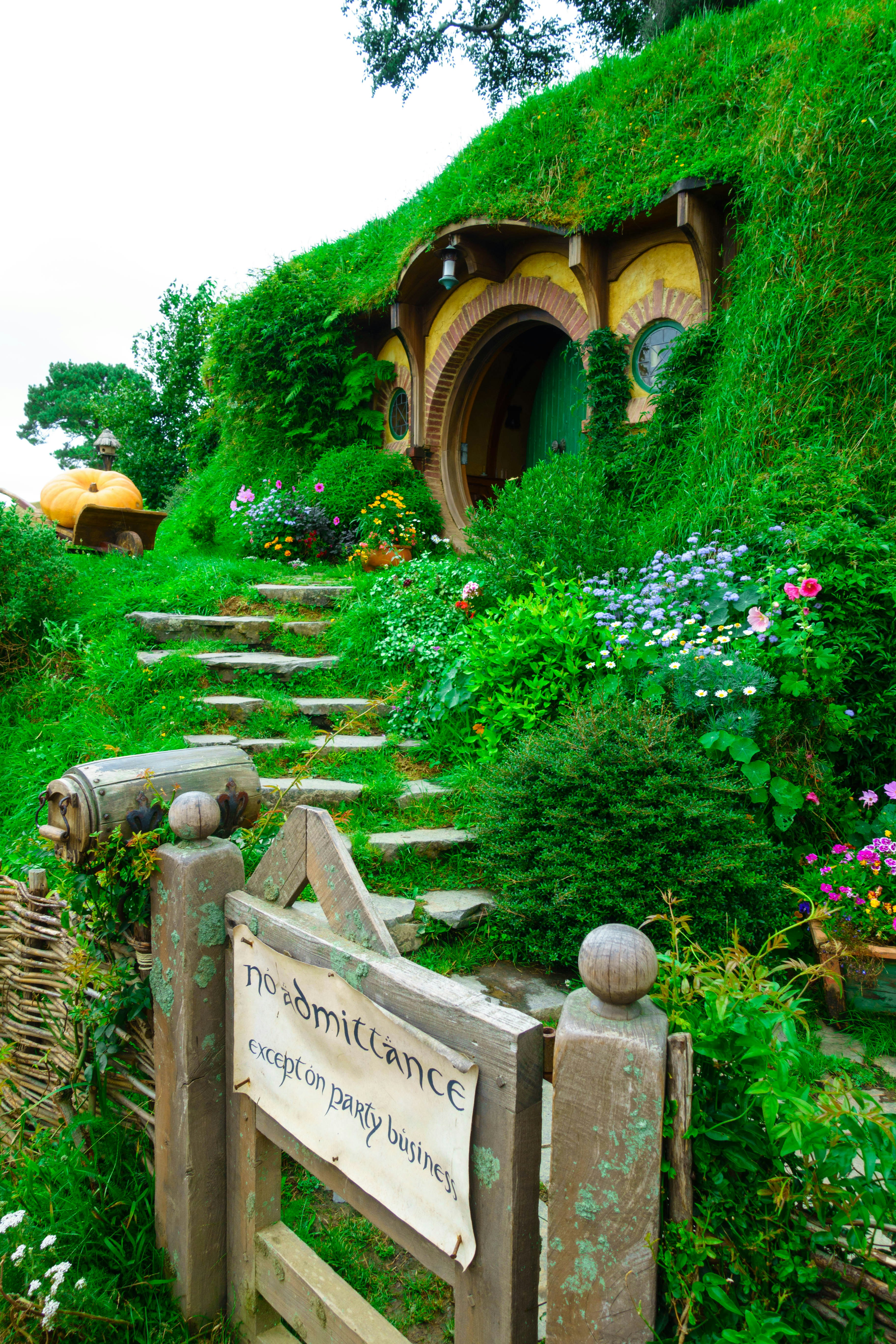 The shire and Hobbiton movie set in New Zealand. 👉🏻 Please credit my website: GlobalCareerBook.com 👈🏻