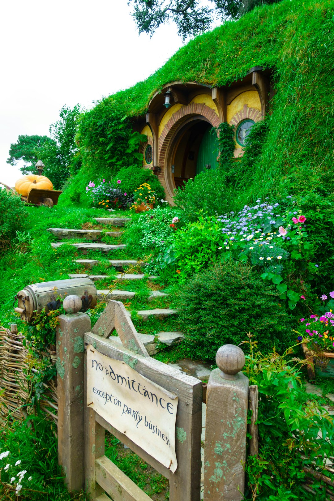 travelers stories about Nature reserve in Hobbiton Movie Set, New Zealand