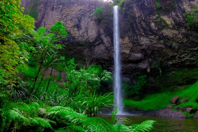 waterfalls in the middle of the forest nz teams background