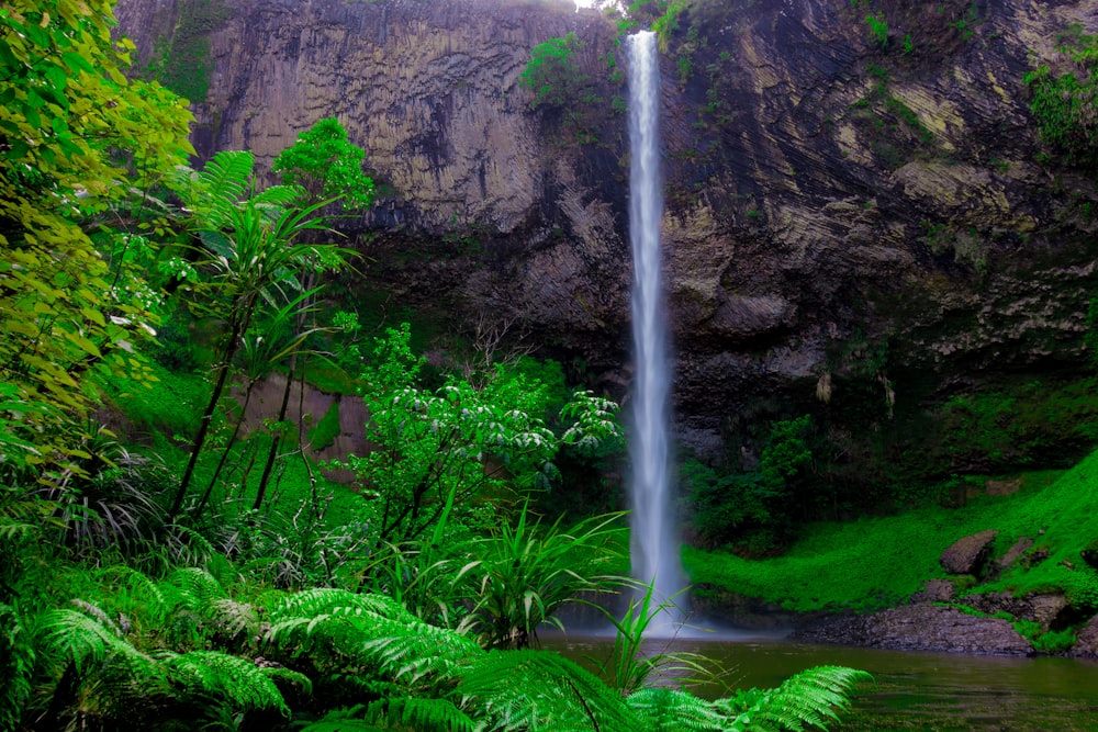 waterfalls in the middle of the forest