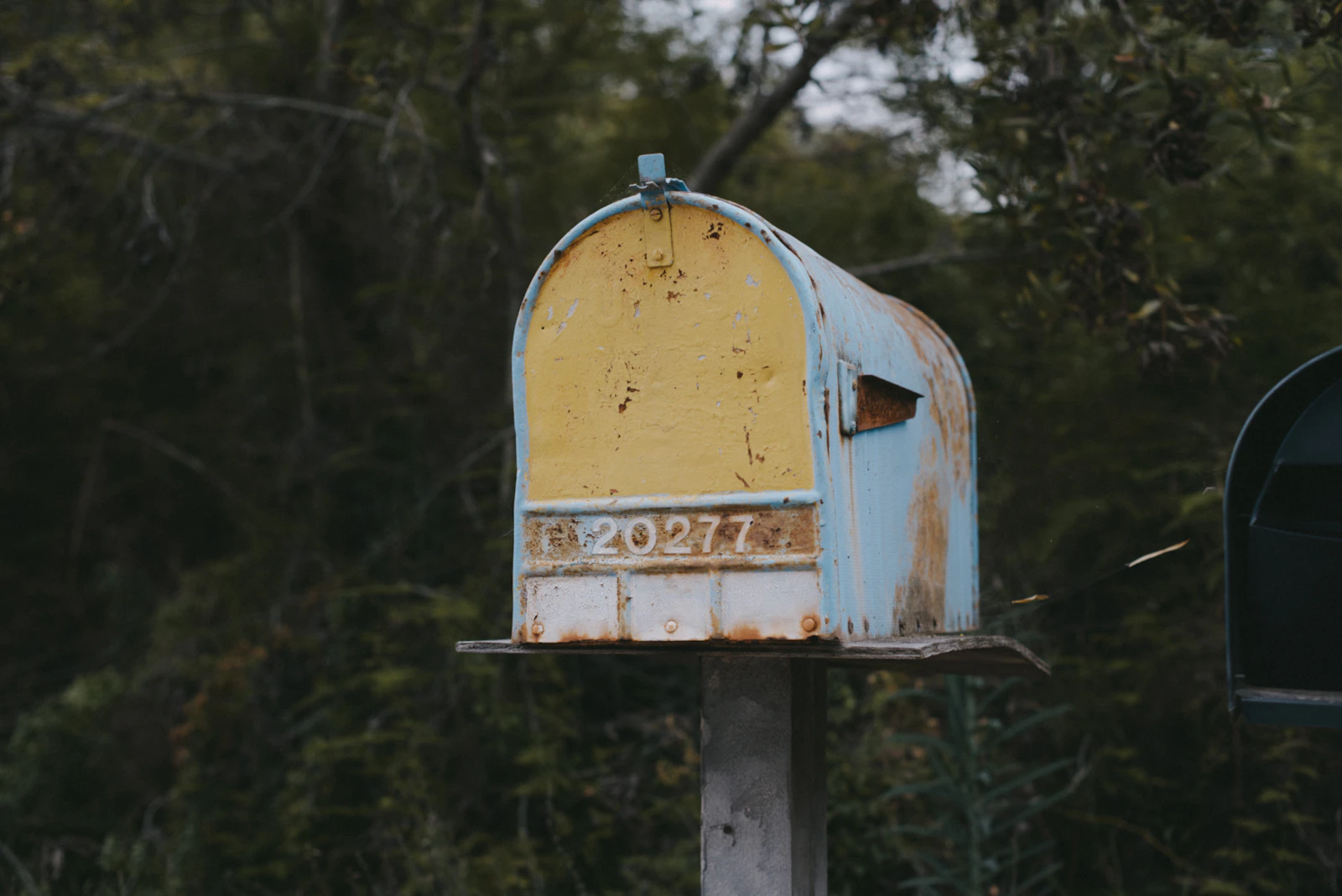 Whistleblower Warns Rushed USPS Ballot System Could Strand Mail Voters This Fall