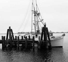 A black and white image of a boat named 'Migrator' moored at a wooden dock. The boat has a tall mast with wires extending upwards. The dock is made of weathered wooden posts, and a seagull is perched on one of the posts. In the background, there's a calm body of water with silhouettes of distant trees visible under a cloudy sky.