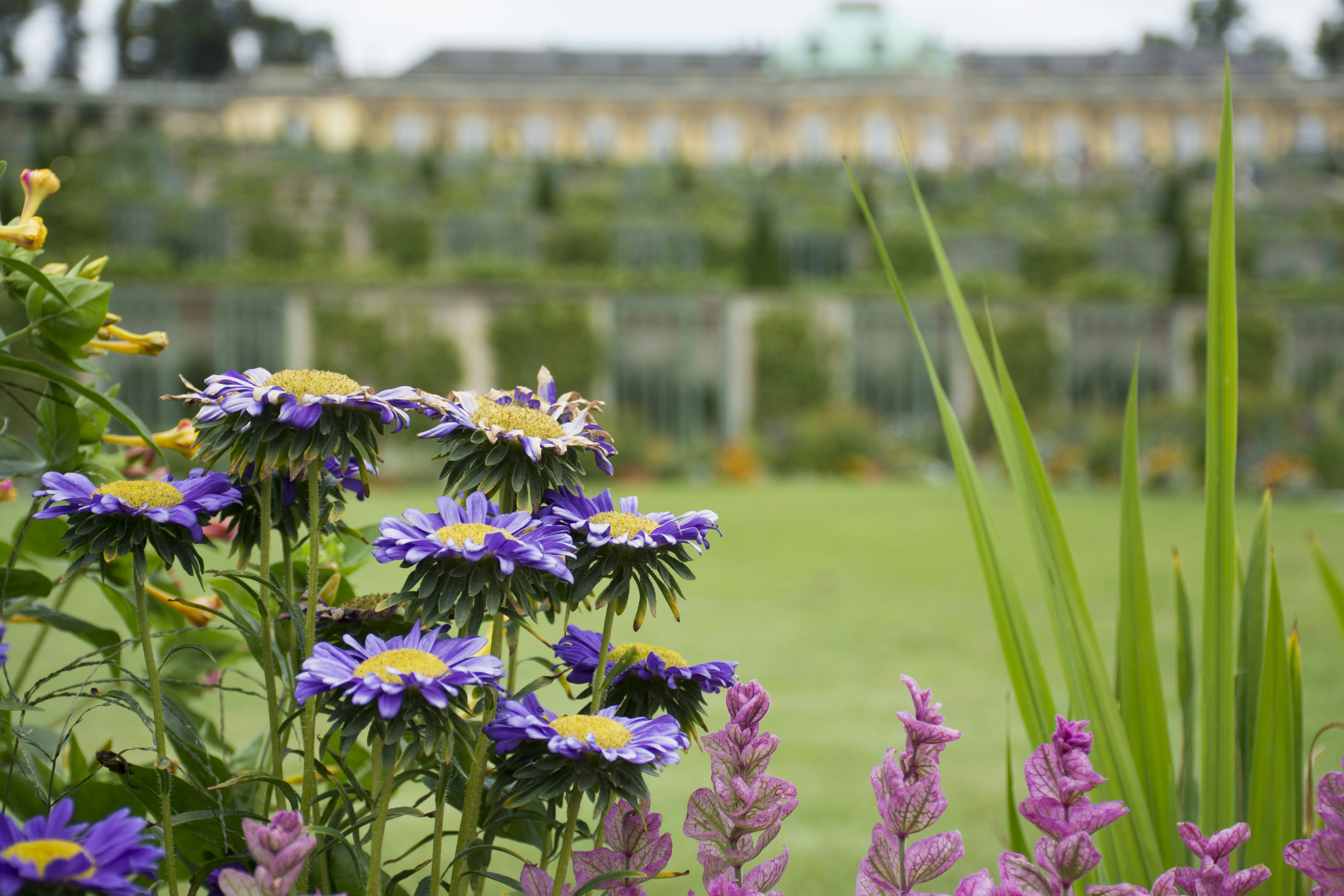 Photo by sharissajohnson