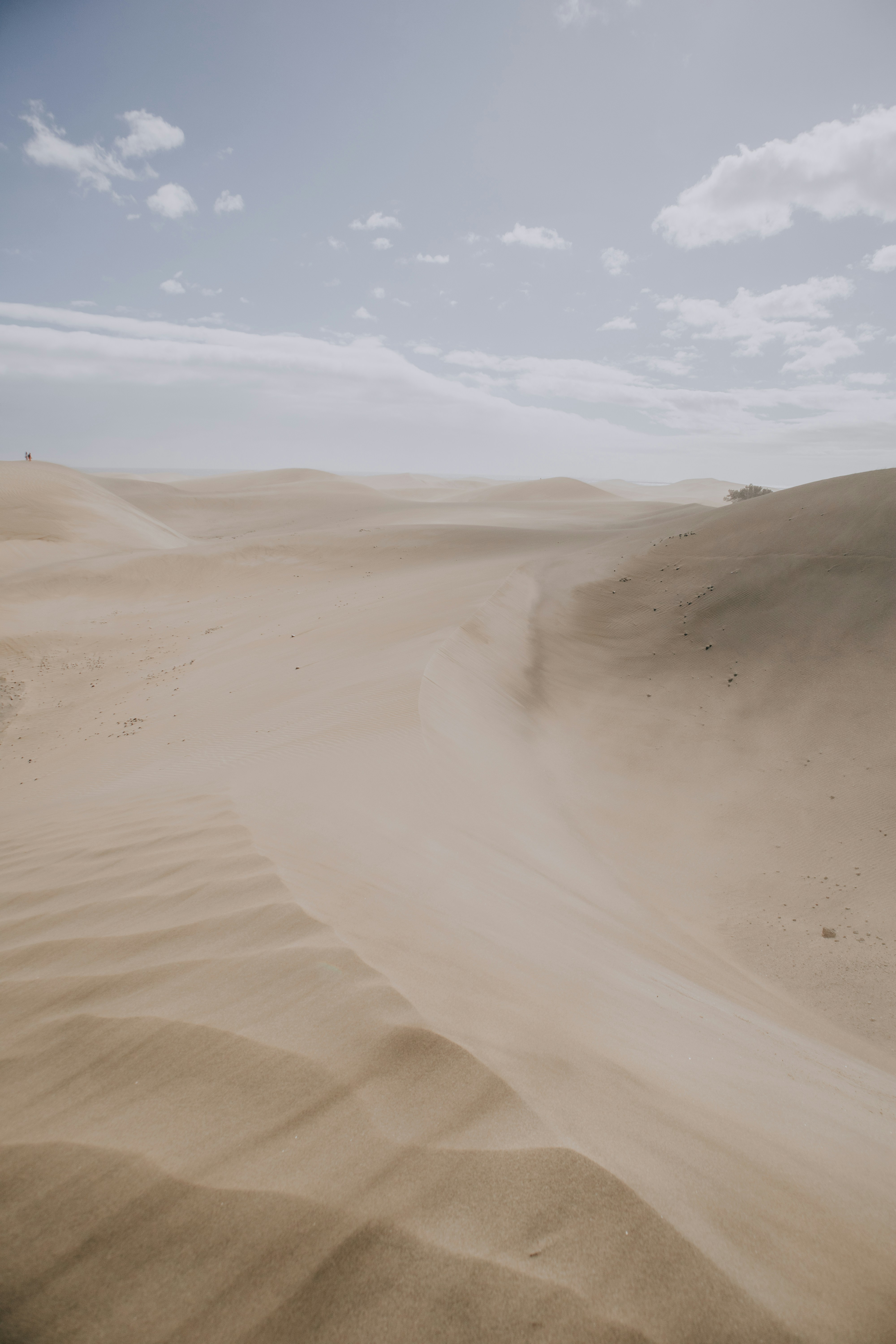 Photo by alexkurchev