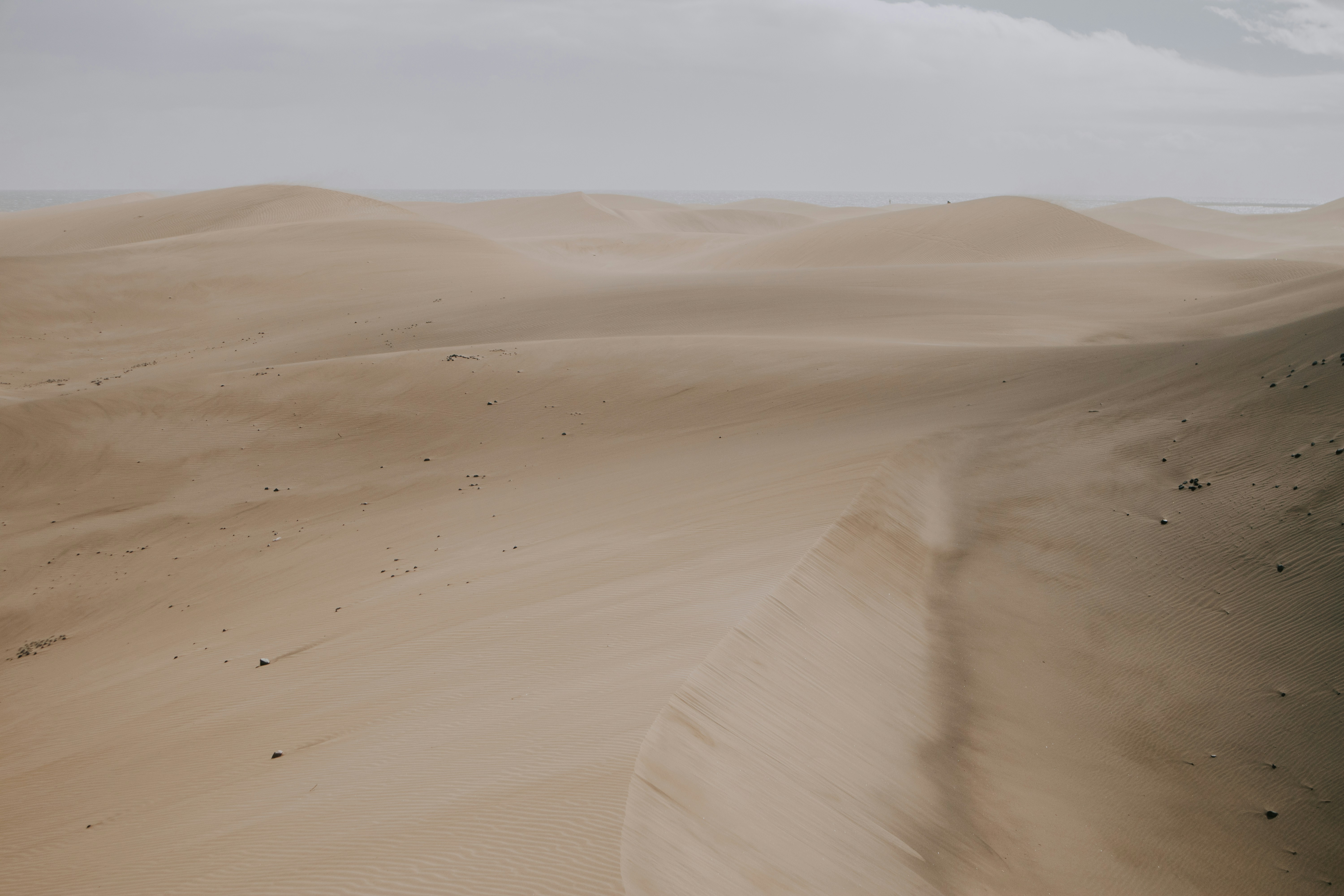 Photo by alexkurchev