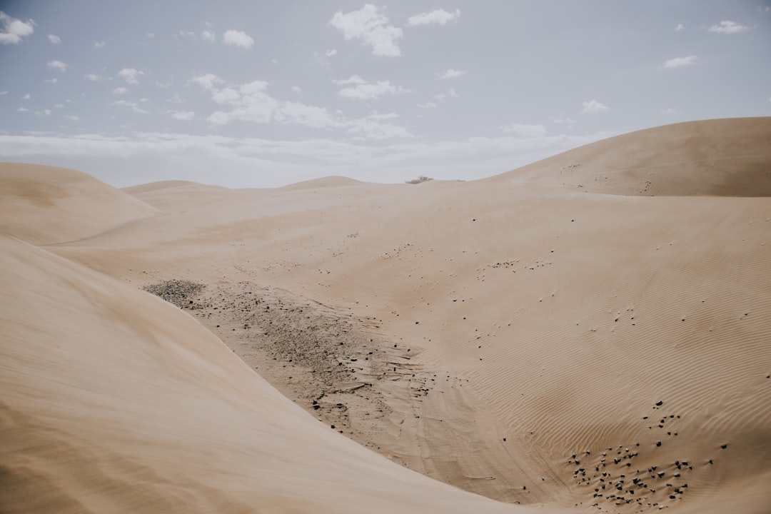 brown sand under blue sky during daytime