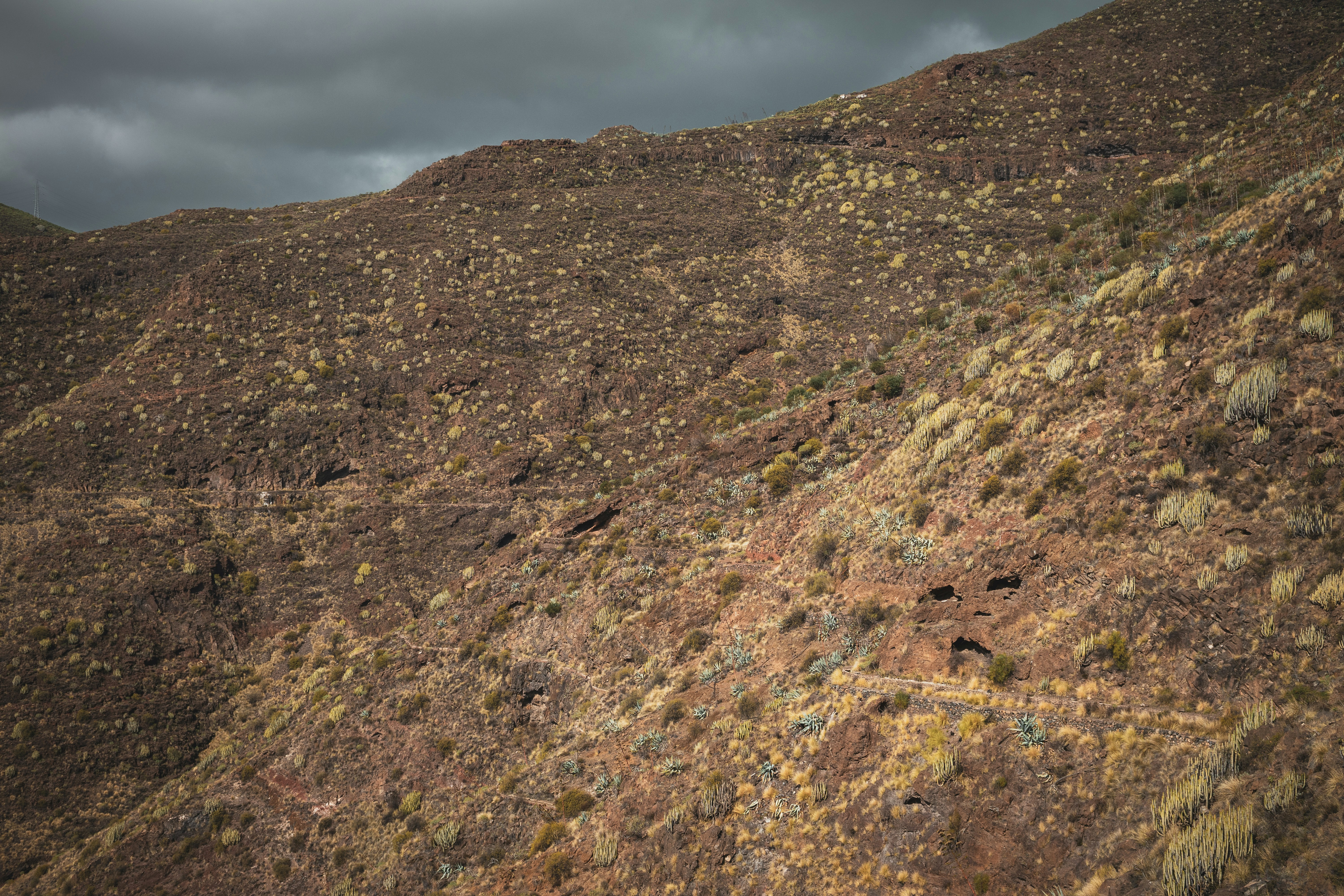 Photo by alexkurchev