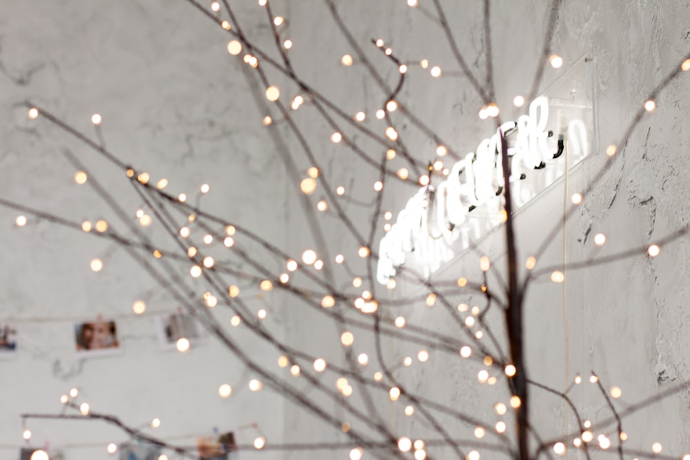 white string lights during night time