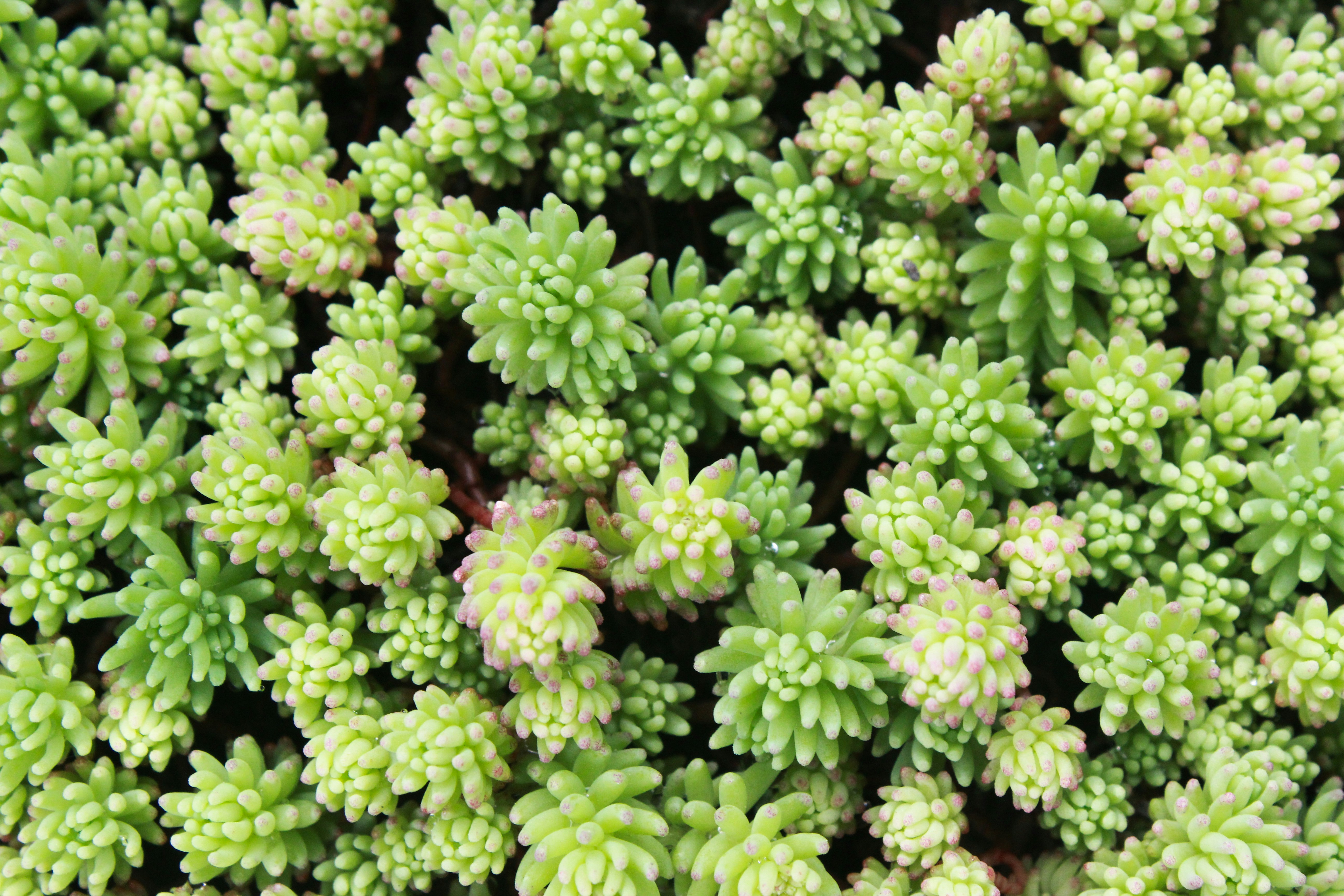 Photo by aleksandra_ua