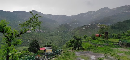green trees on mountain during daytime in Mussoorie India