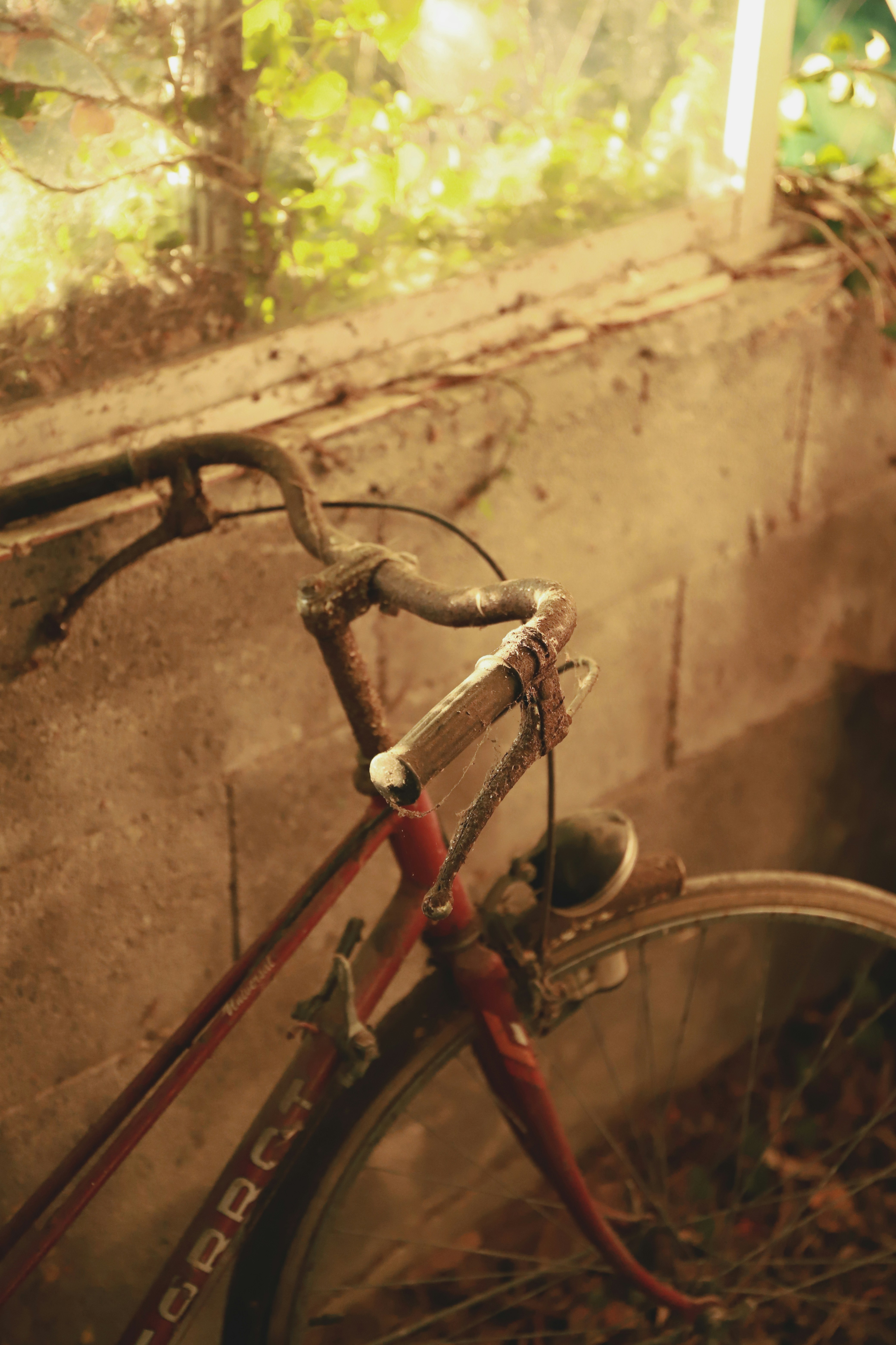 Photo by paulgaraizarbosch